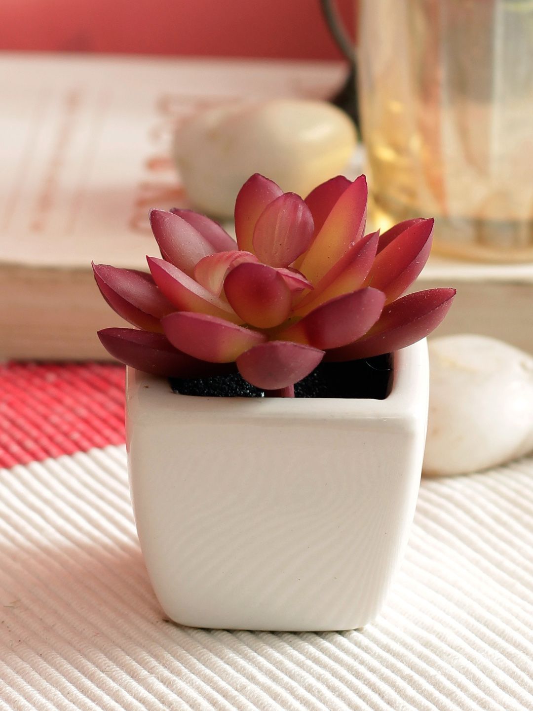 PolliNation Red Set of 2 Artificial Succulent Plant With White Ceramic Pot Price in India