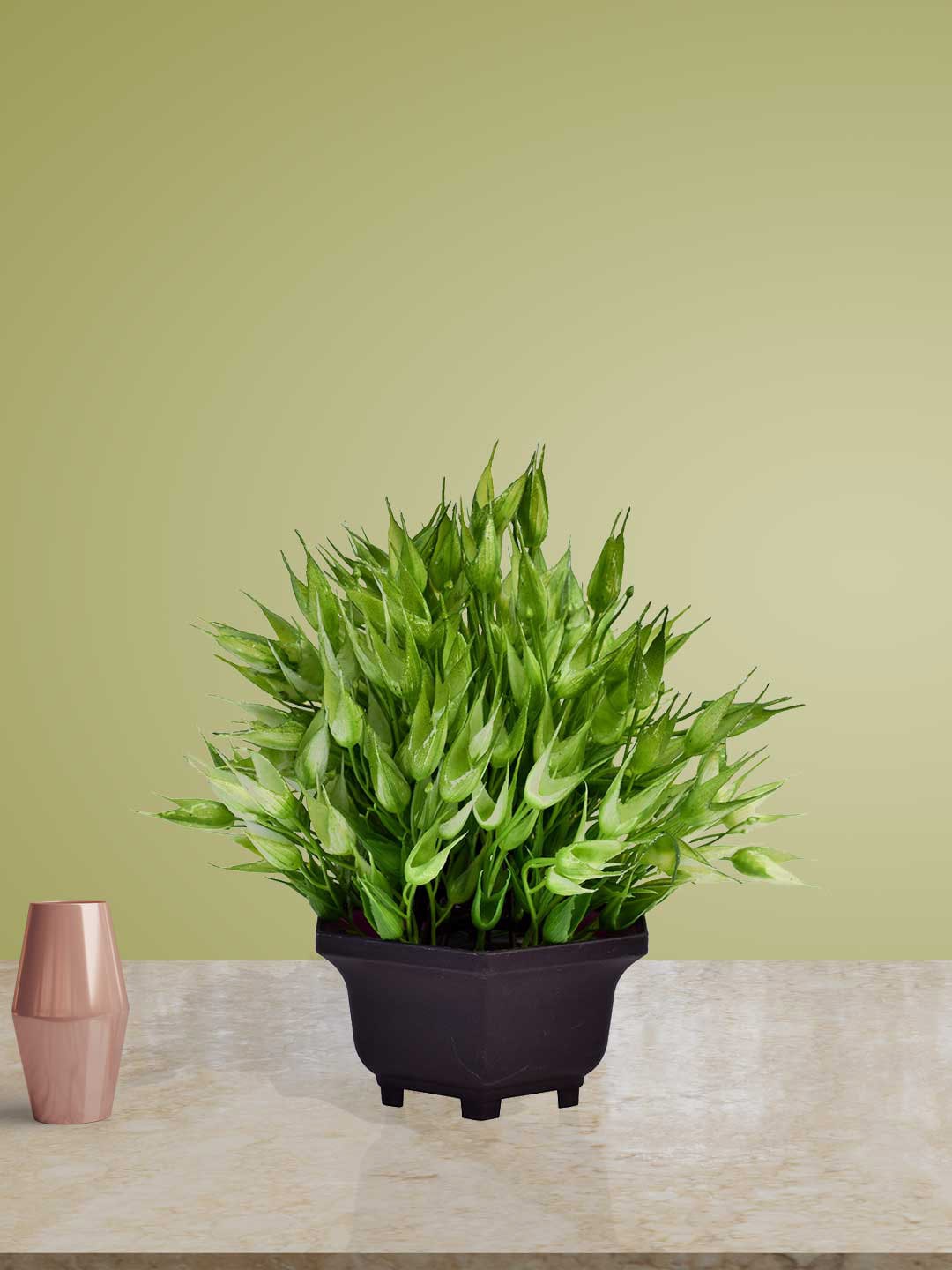 Art Street Green And Brown Artificial Plant Price in India