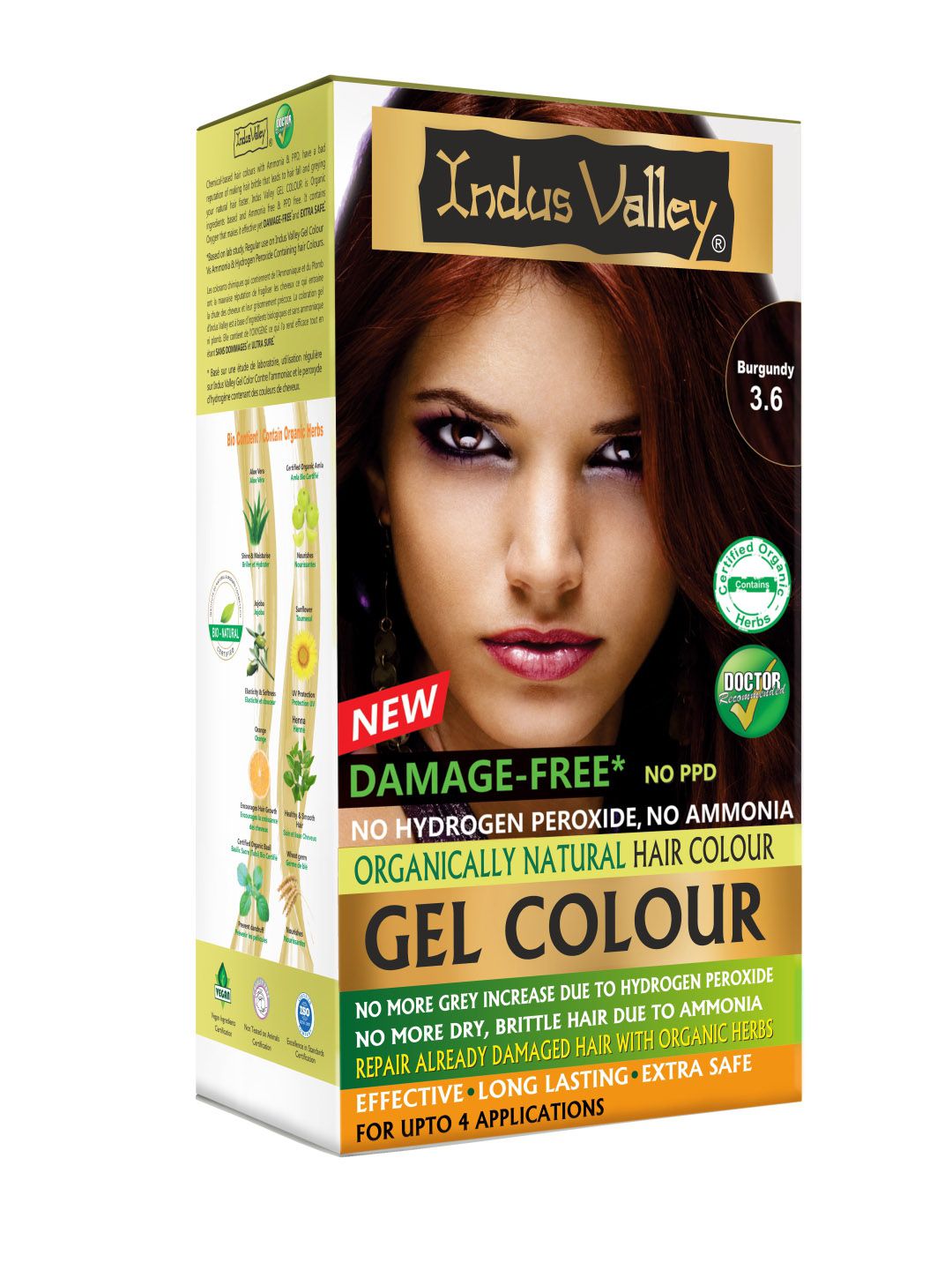 Indus Valley Organically Natural Gel Burgundy 3.6 Hair Color 220 g Price in India