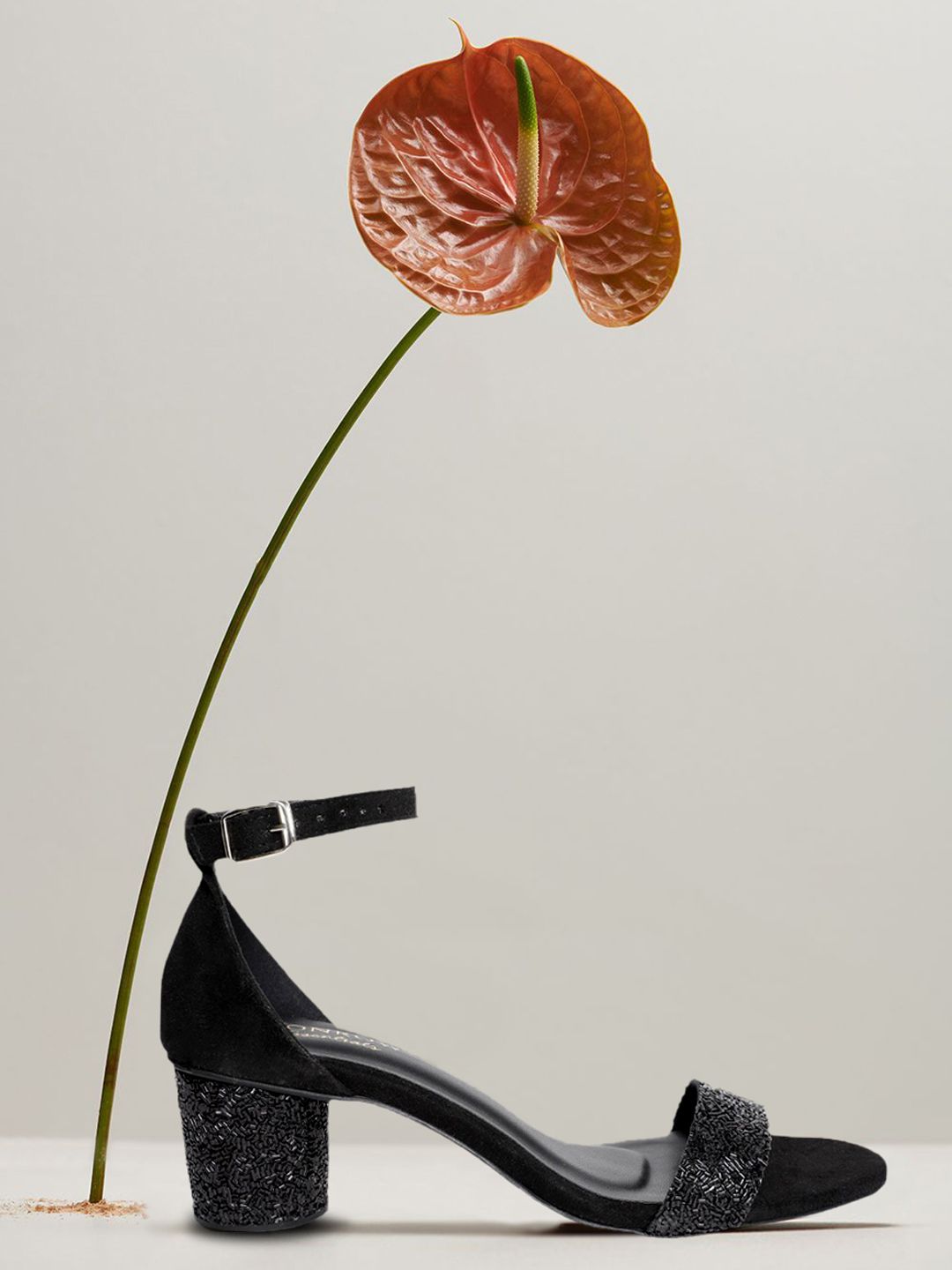 Monrow Women Black Embellished Block Heels Price in India
