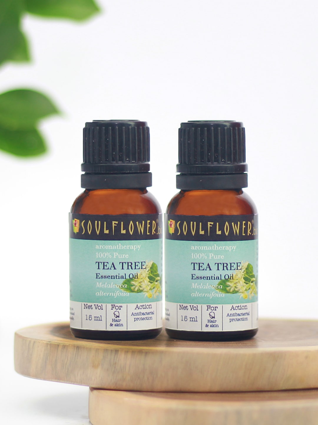 Soulflower Pack of 2 Tea Tree Anti-Dandruff Essential Oil 15ml each  Pure & Natural Price in India