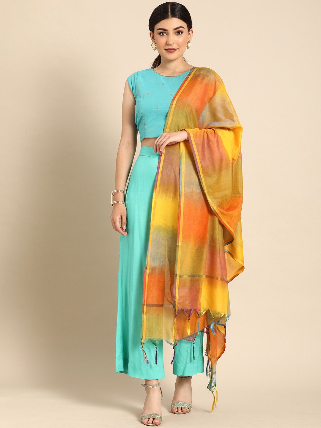 Shaily Multicoloured & Multicoloured Checked Dupatta