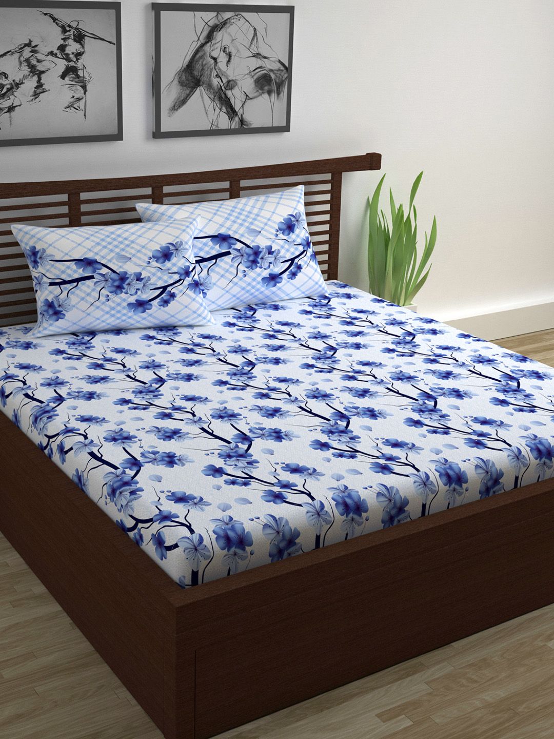 Divine Casa Blue & White Floral 144 TC Cotton 1 Queen Bedsheet with 2 Pillow Covers Price in India