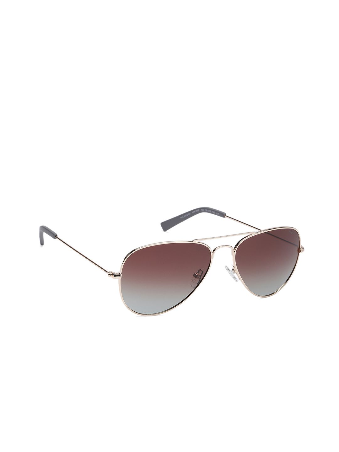 Nautica Men Brown Lens & Gold-Toned Aviator Sunglasses with UV Protection