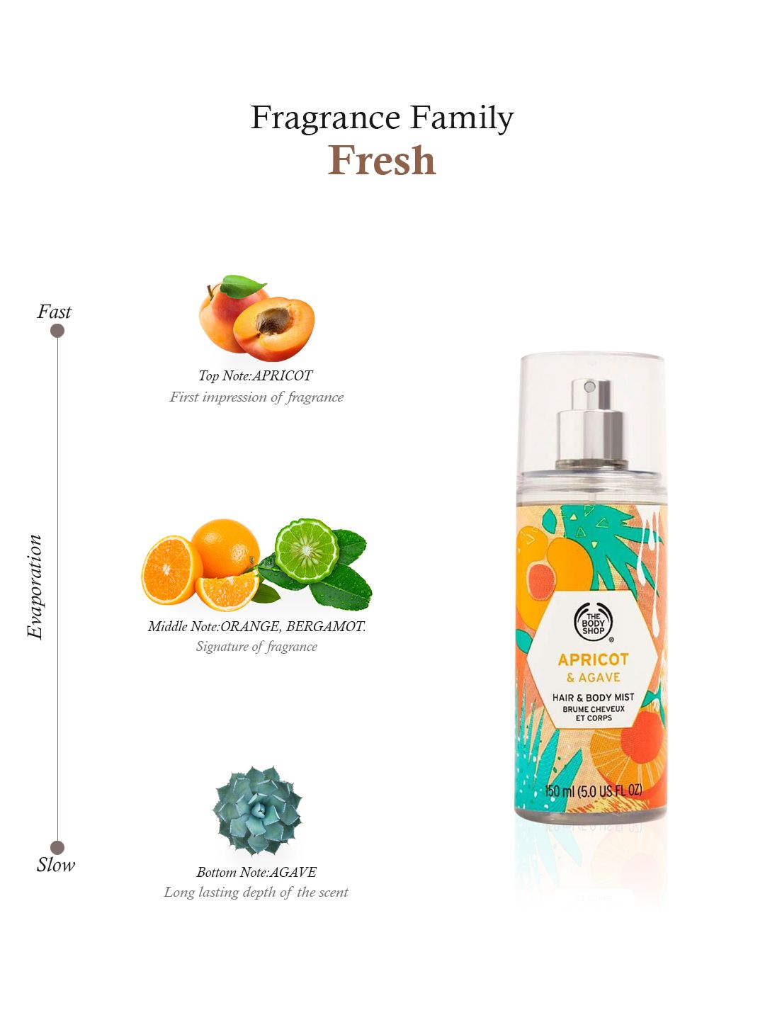 Buy THE BODY SHOP Unisex Apricot & Agave Hair & Body Mist 150 ml - Body Mist  and Spray for Unisex 14097474 | Myntra