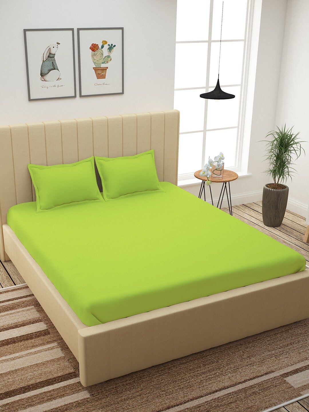 Story@home Green Solid 210 TC Cotton 1  King Bedsheet with 2 Pillow Covers Price in India