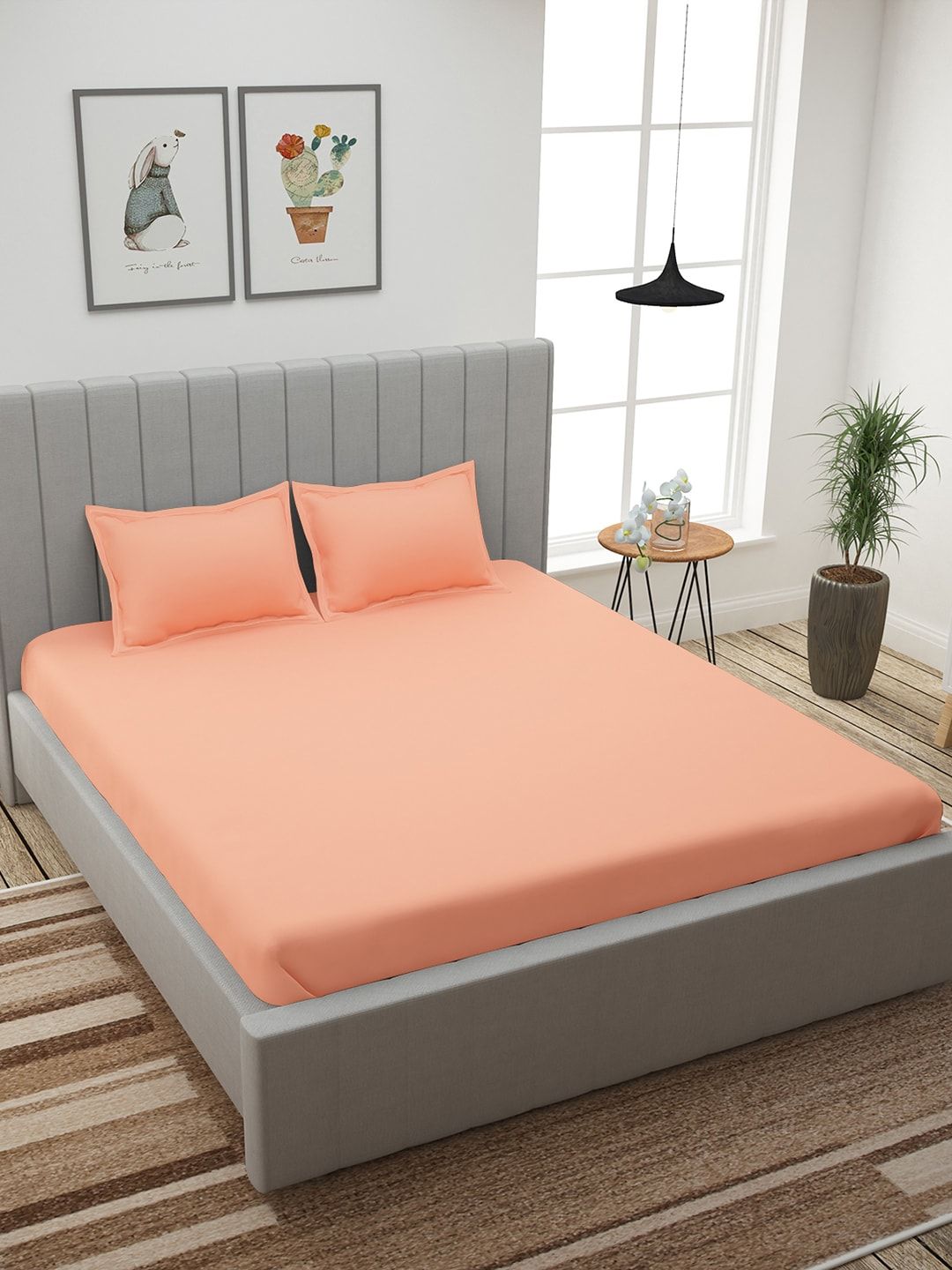 Story@home Peach-Coloured Solid 210 TC Cotton 1  King Bedsheet with 2 Pillow Covers Price in India