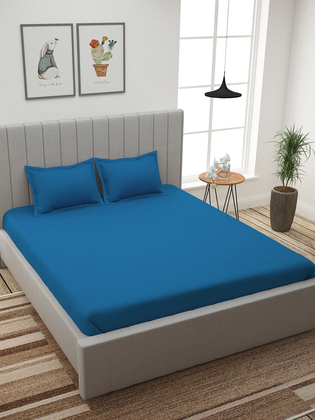 Story@home Blue Solid 210 TC Cotton 1  King Bedsheet with 2 Pillow Covers Price in India