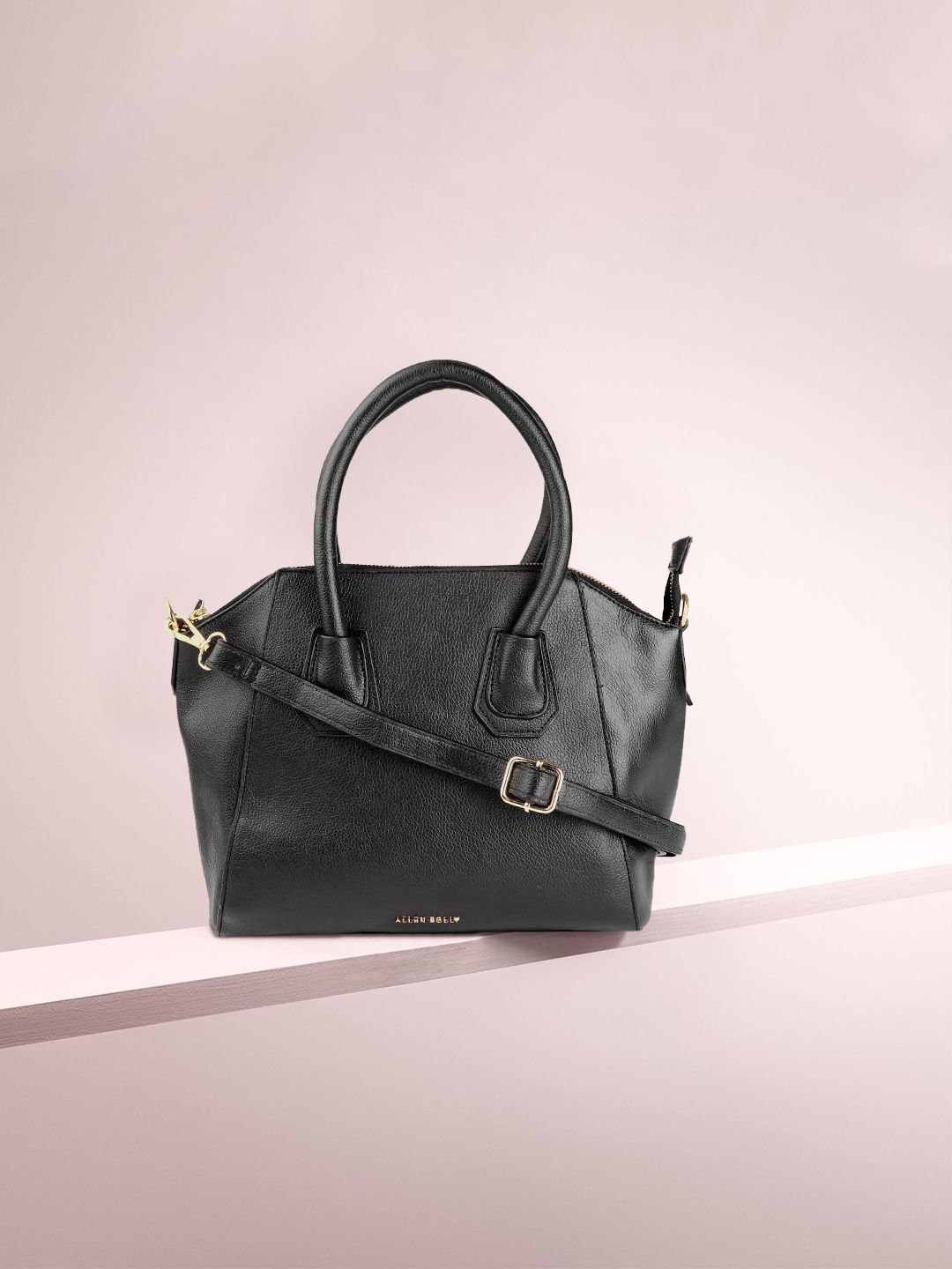 Allen Solly Women Black Solid Structured Handheld Bag Price in India