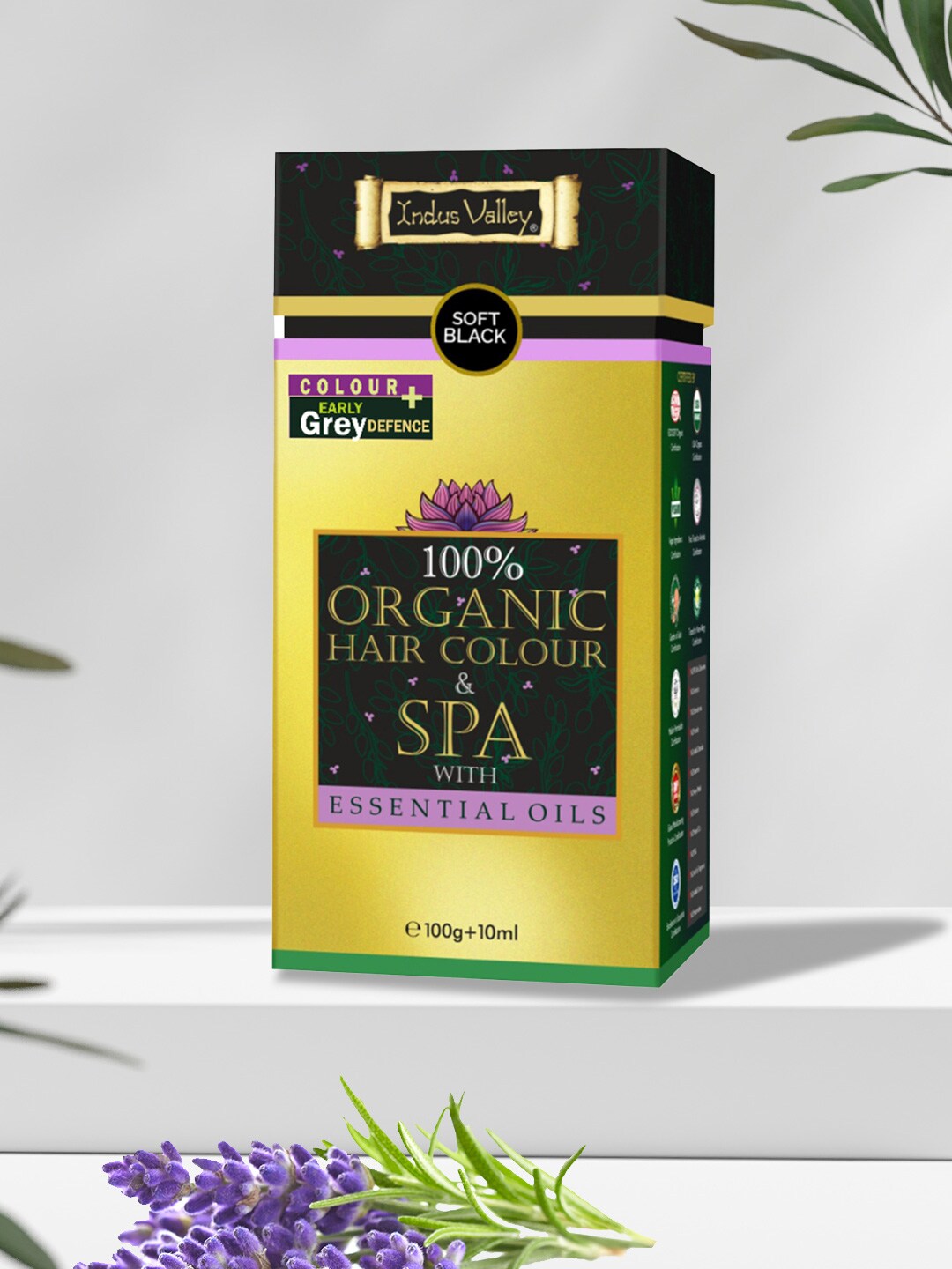 Indus Valley 100% Oragnic Hair Colour & Spa with Essential Oil- Soft Black-100g Price in India