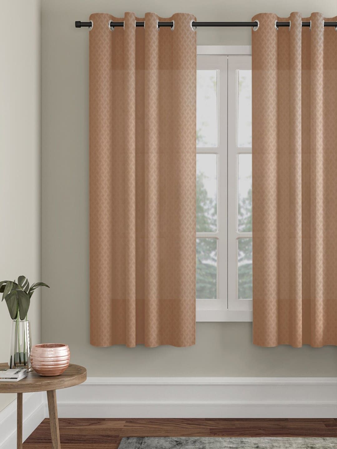 HOSTA HOMES Brown Window Curtain Price in India