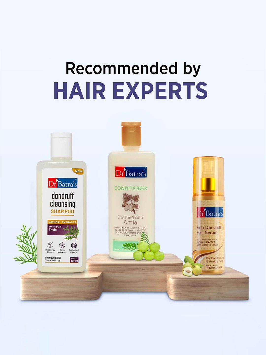Dr. Batras Anti-Dandruff Hair Kit For Lively Clean Hair & Healthy Scalp - 515 ml