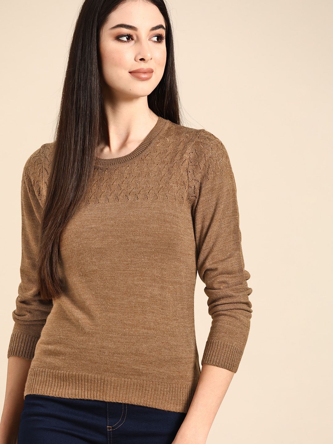 Anouk Women Brown Solid Acrylic Winter Sweater with Self-Design Detail Price in India