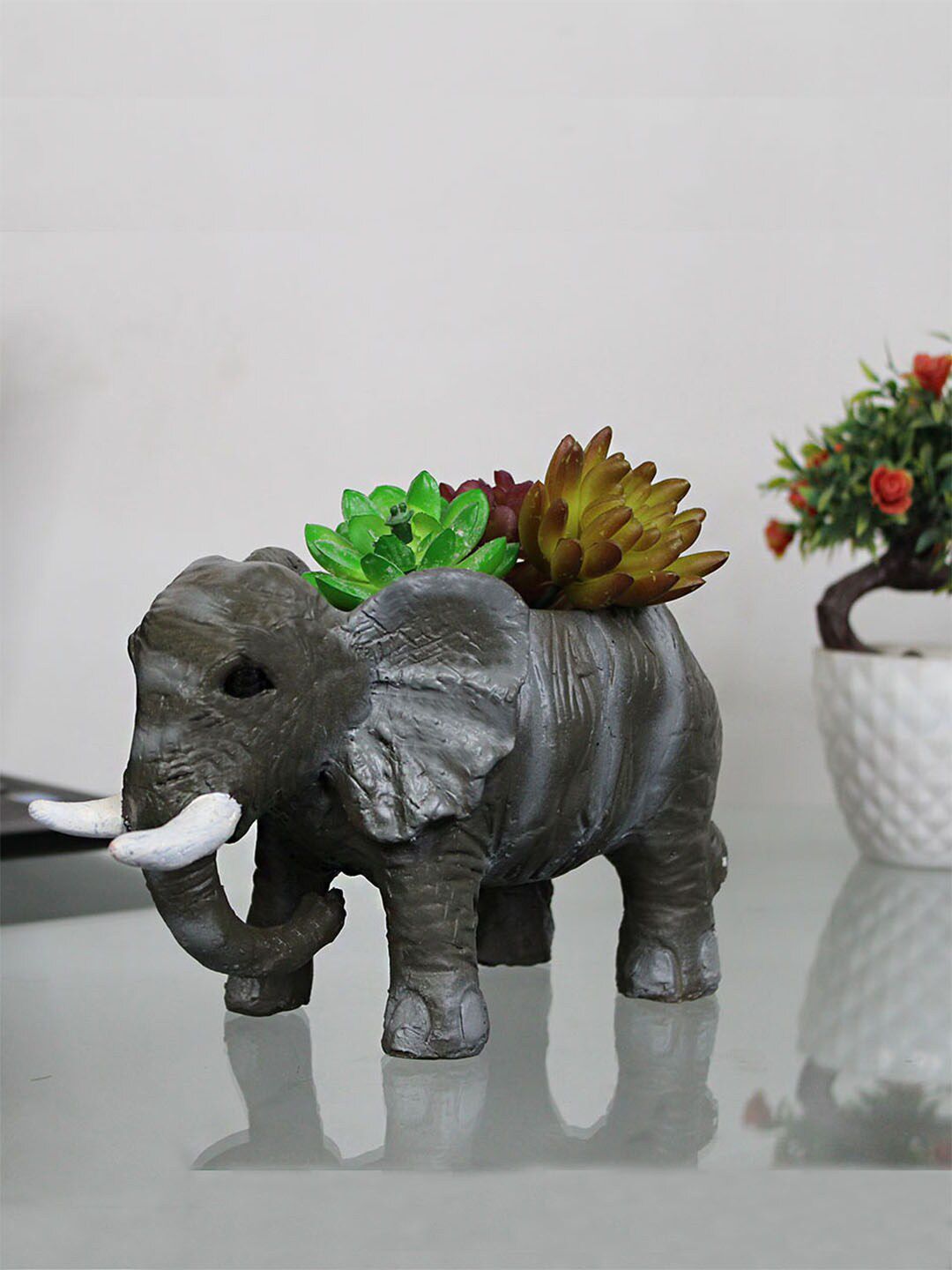 Wonderland Grey & White Elephant Succulent Planter Price in India