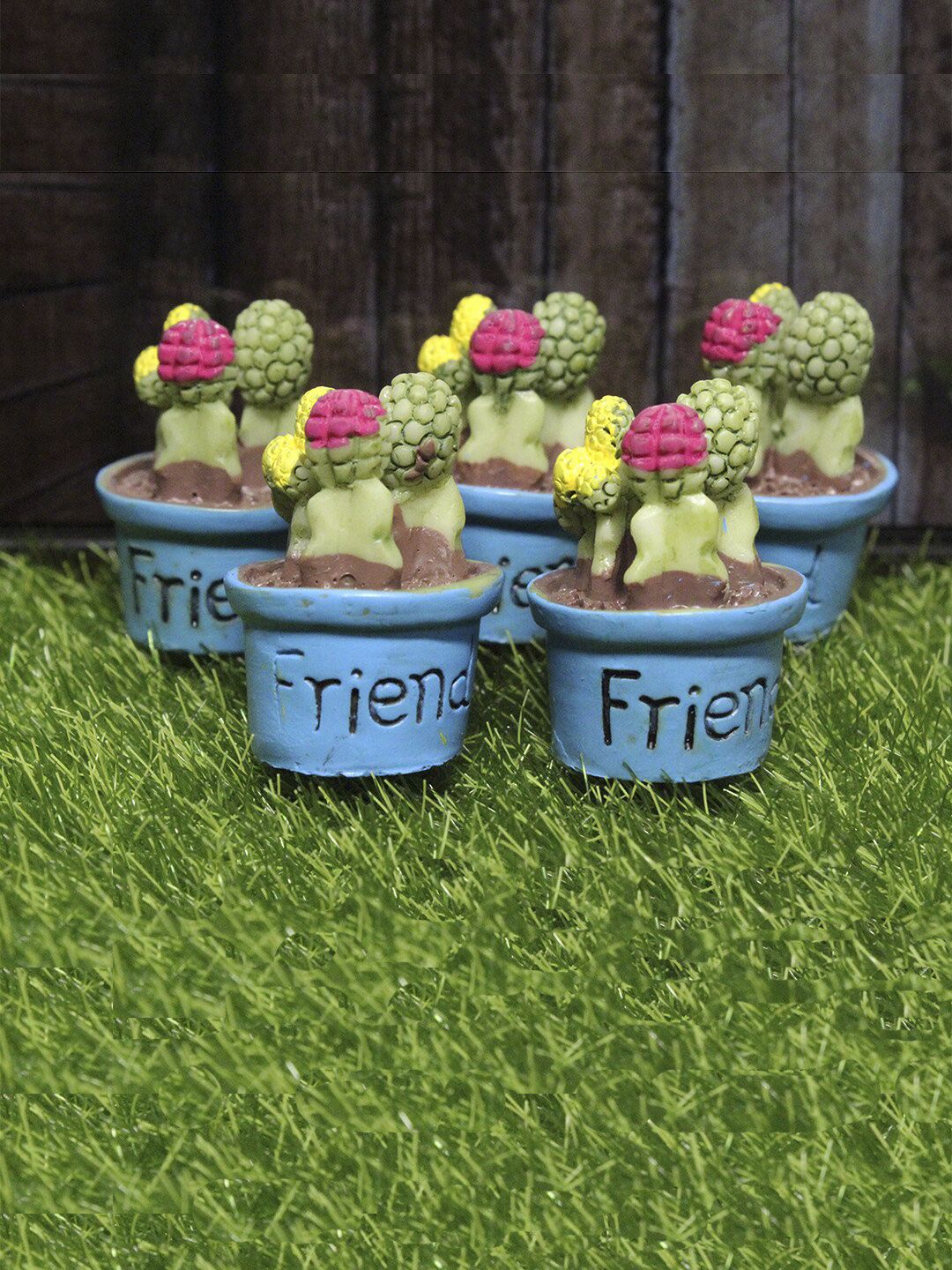 Wonderland Set Of 5 Blue & Green Cactus Gardening Pot Price in India