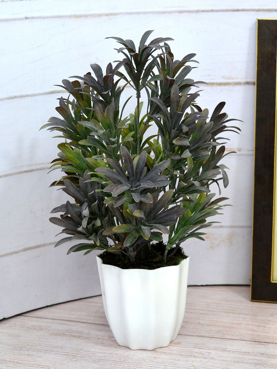 fancy mart Black & Green Artificial Plant Euphorbia in Star Pot Price in India