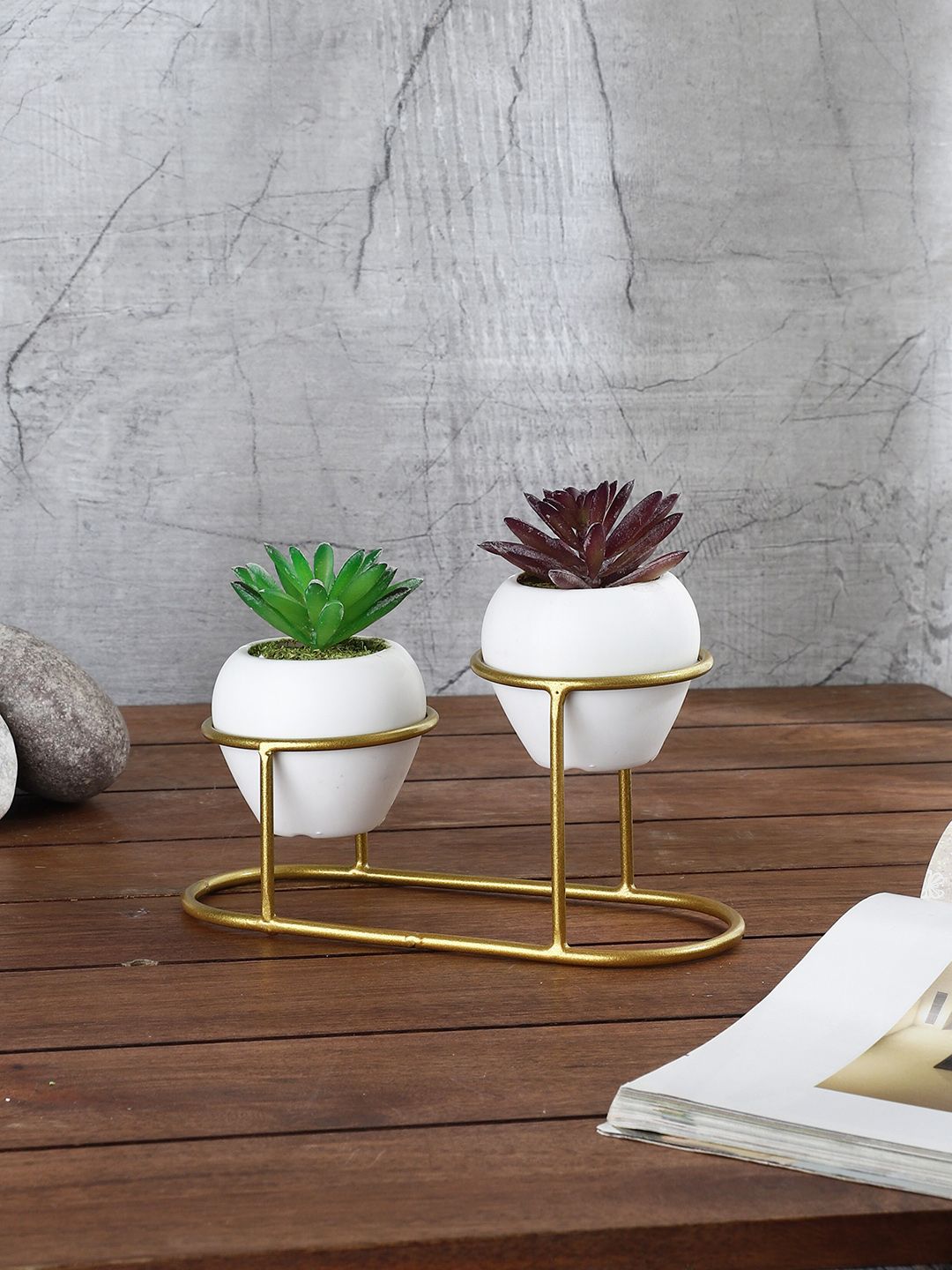 FOLIYAJ Set Of 2 Artificial Cactus Plants With Metal Holder Price in India