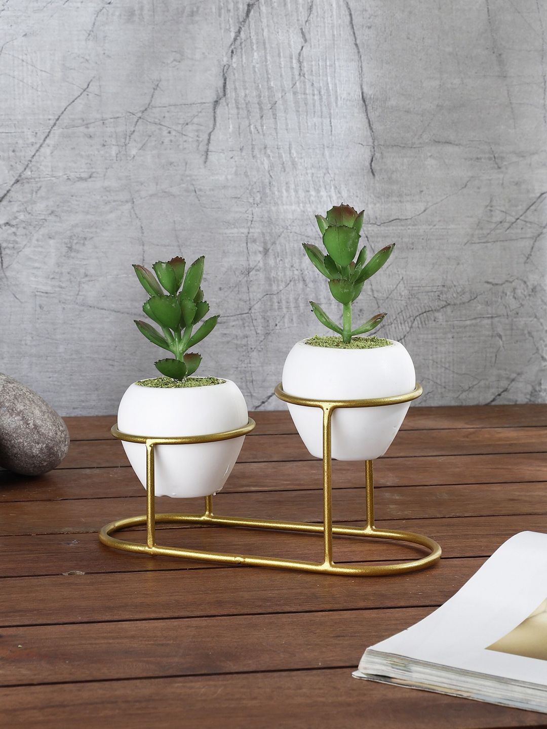 FOLIYAJ Set Of 2 Green & White Artificial Cactus Plants With Metal Holder Price in India