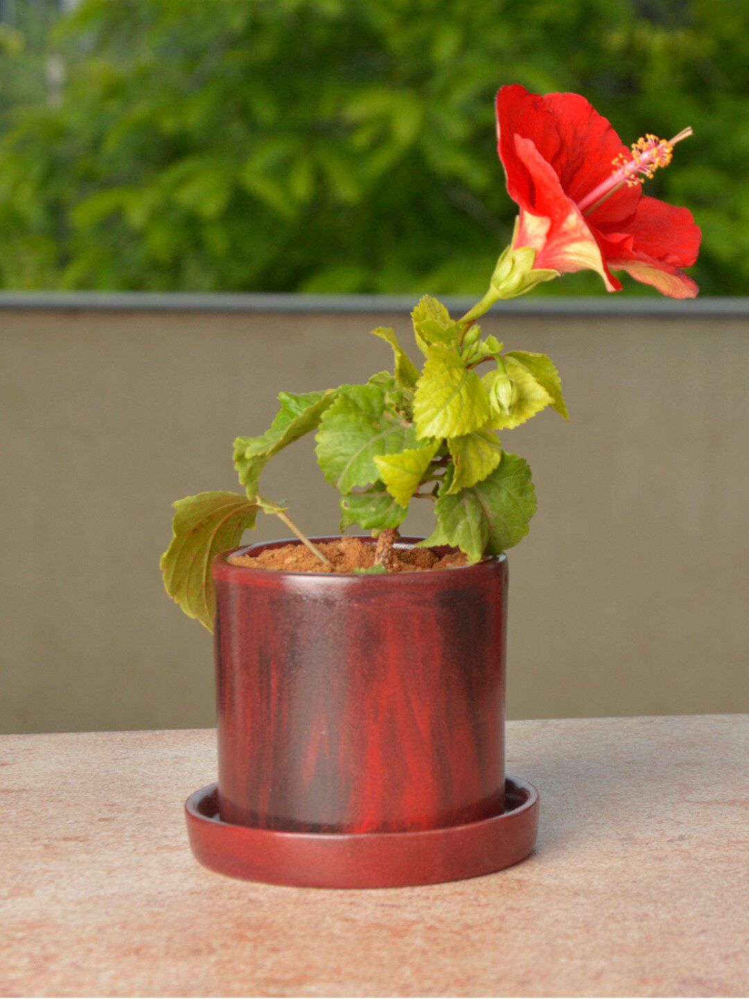 StyleMyWay Red & Black Solid Ceramic Planter Pot With Tray Price in India