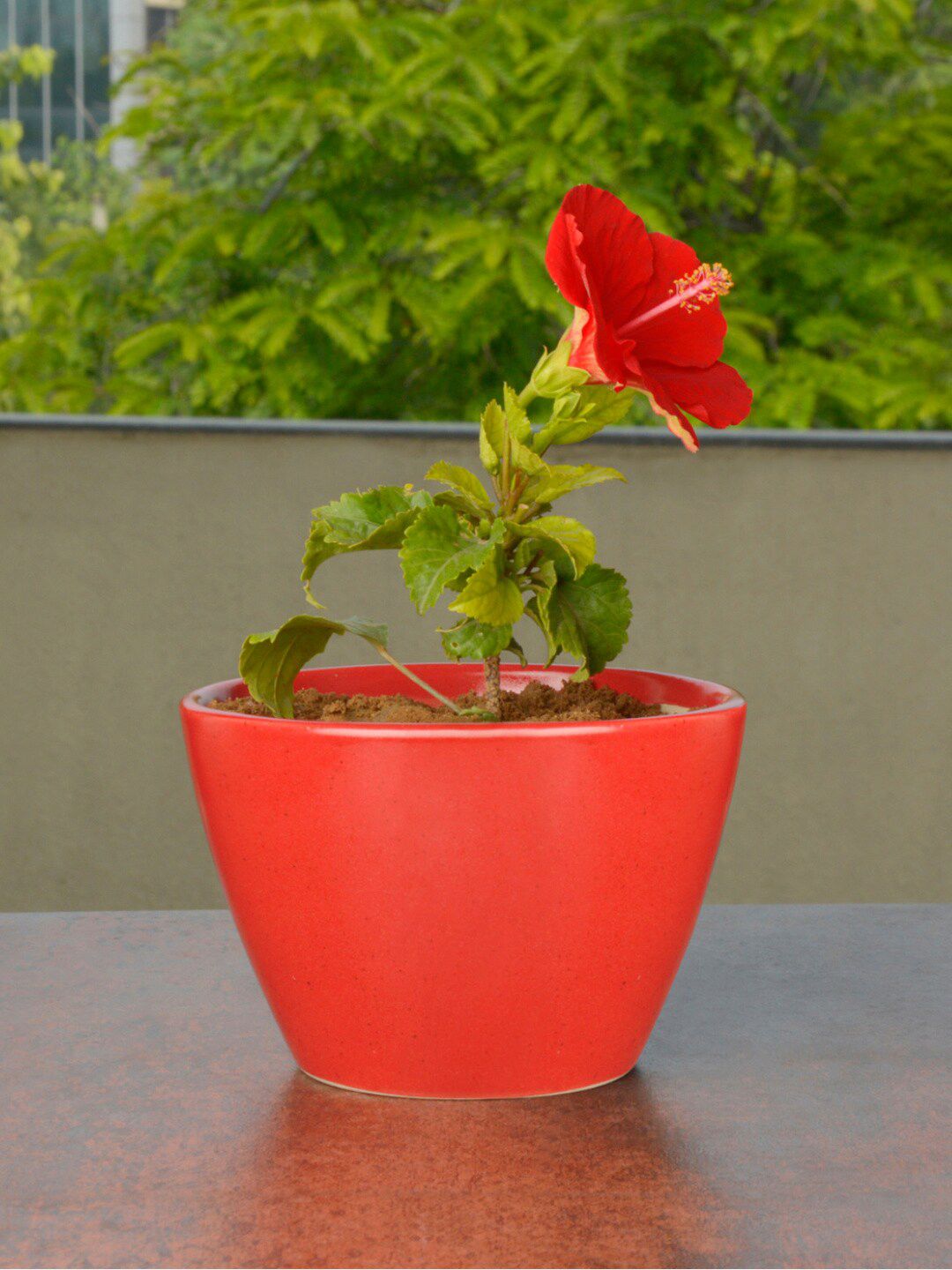 StyleMyWay Red & Green Hand Painted Ceramic Planter With Pot Price in India