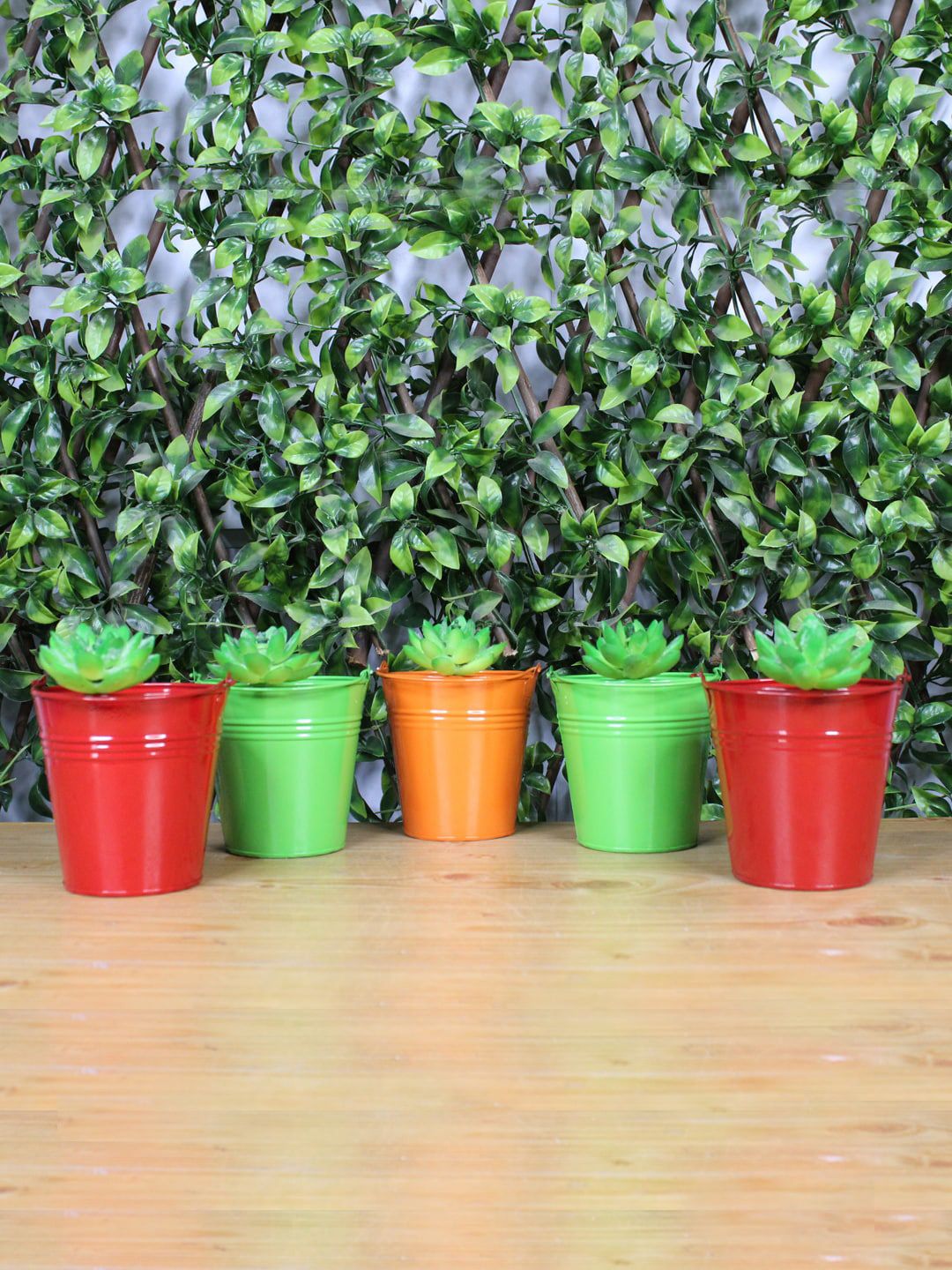 Wonderland Set Of 5 Multicoloured Small Bucket Planters Price in India
