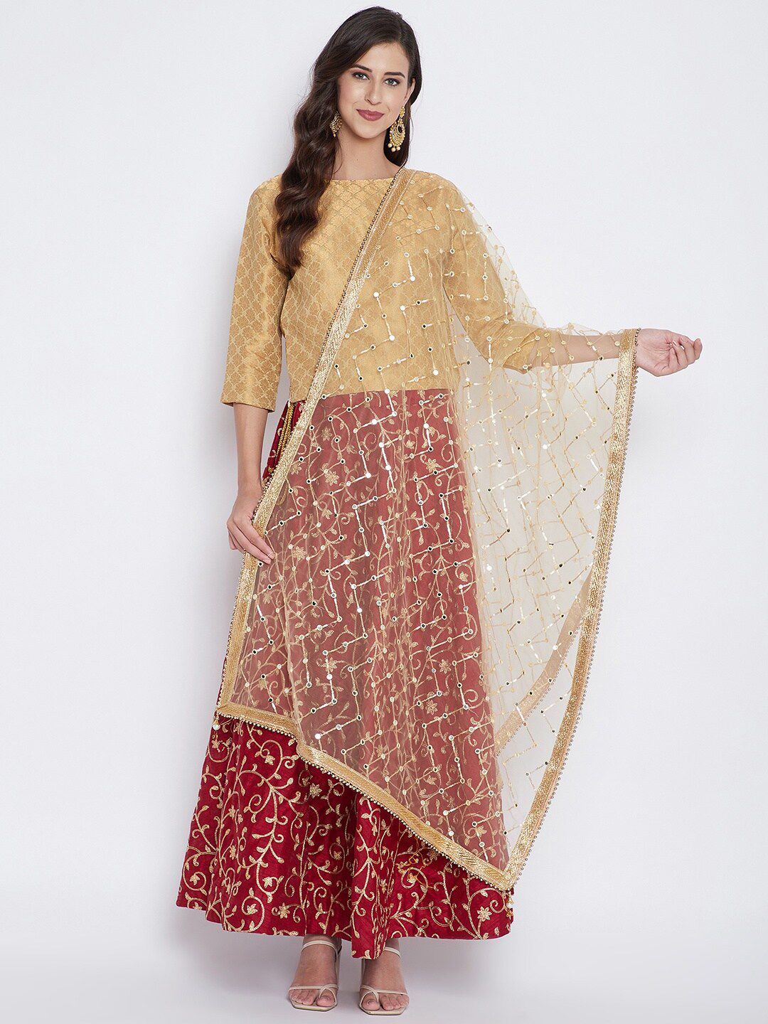 Clora Creation Gold-Toned & Silver-Toned Mirror Work Woven Design Dupatta