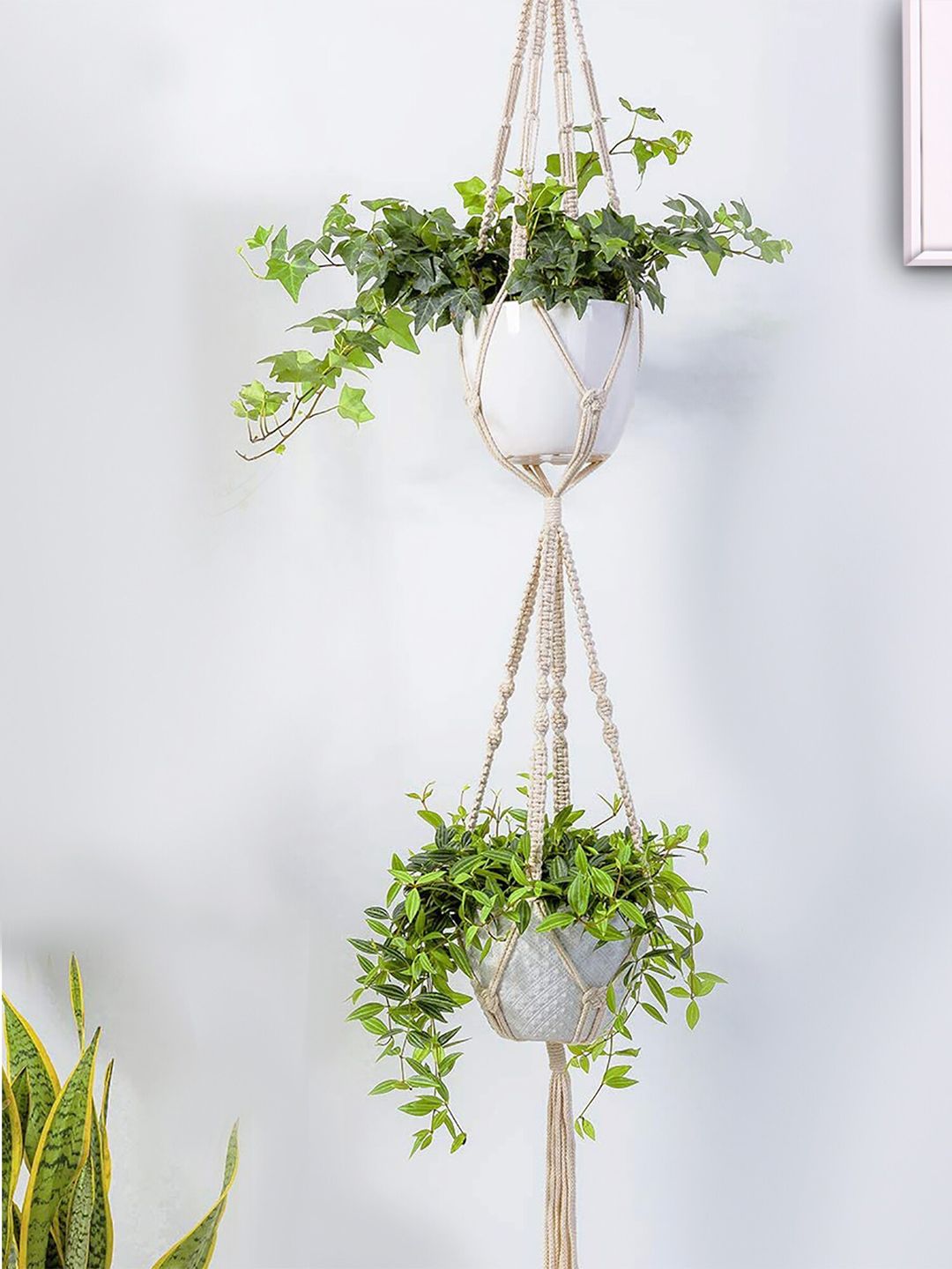 Homesake Set Of 2 Beige Macrame Plant Hangers Without Pot Price in India