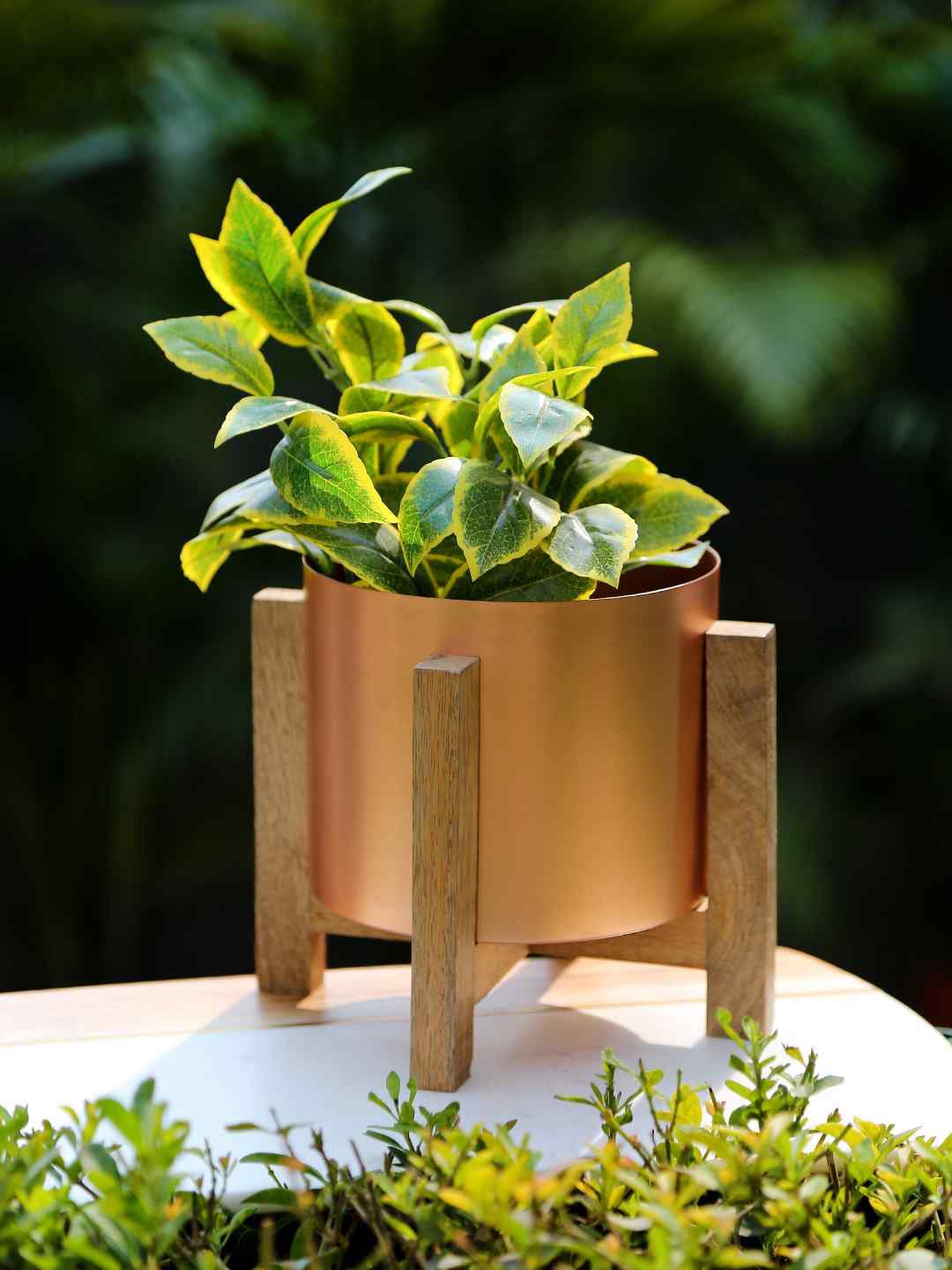 Amoliconcepts Copper & Brown Look Planter on Wooden Stand Price in India