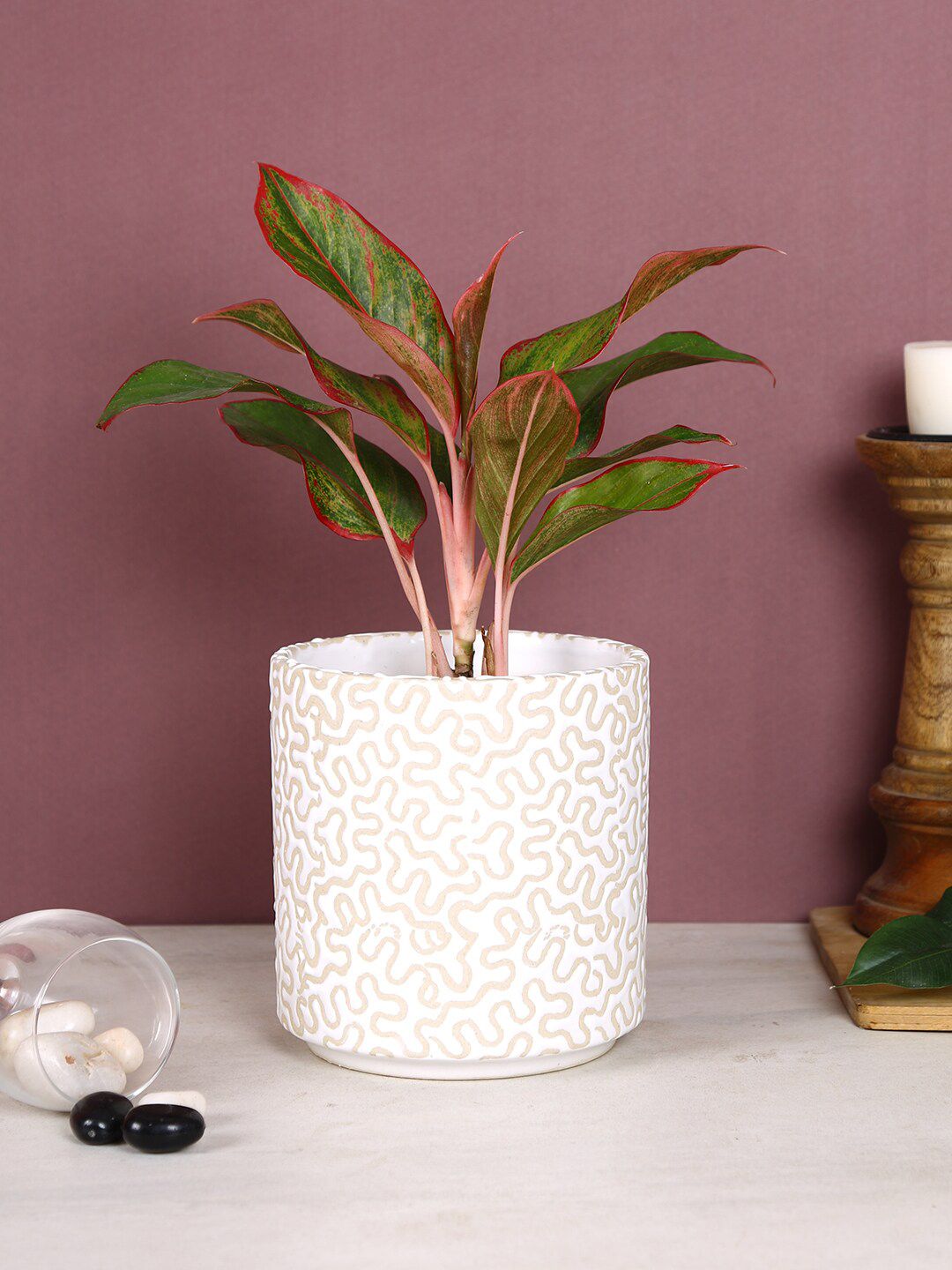 Aapno Rajasthan White & Beige Textured Ceremic Planter Price in India