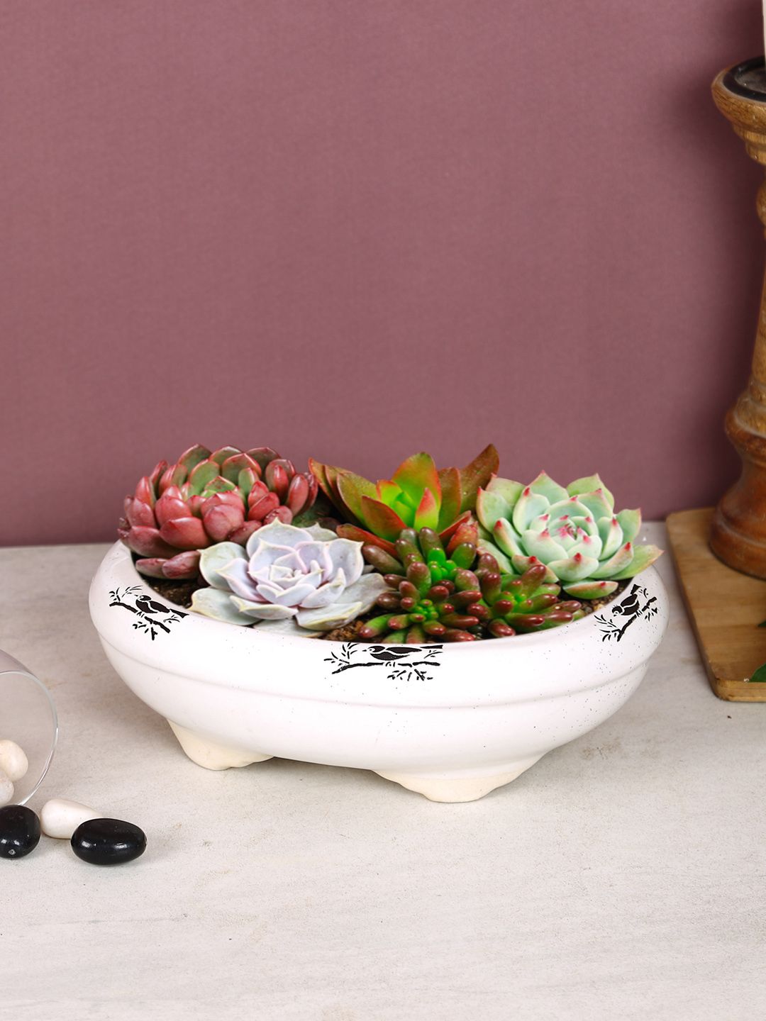 Aapno Rajasthan White & Black Printed Ceramic Oval-Shaped Planter Price in India