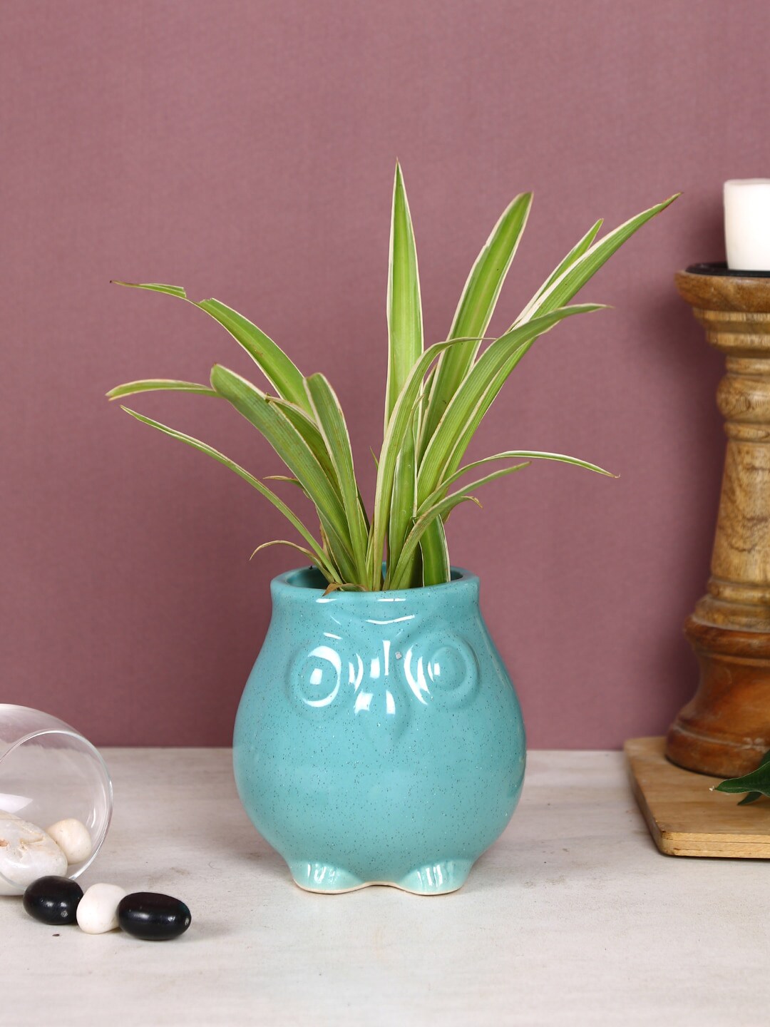 Aapno Rajasthan Blue Solid Owl Head Shaped Ceremic Planter Price in India