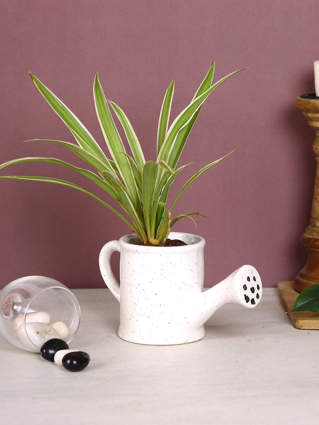 Aapno Rajasthan White Solid Watering Can Shaped Mini Pot Price in India