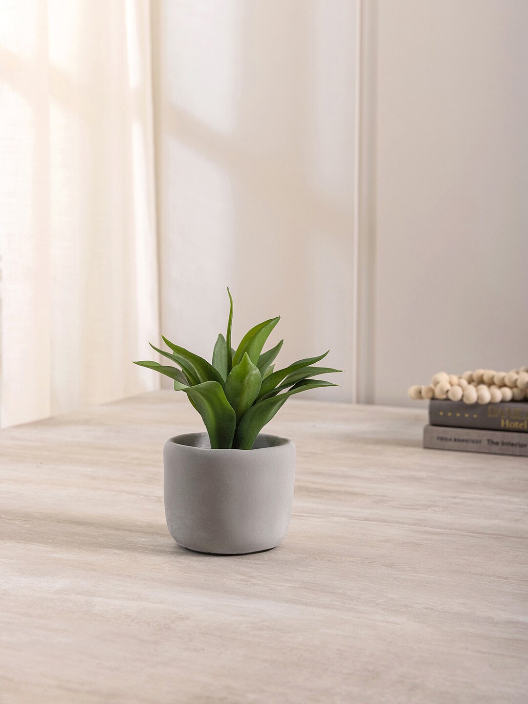 Pure Home and Living Green Agave in Cement Pot Price in India