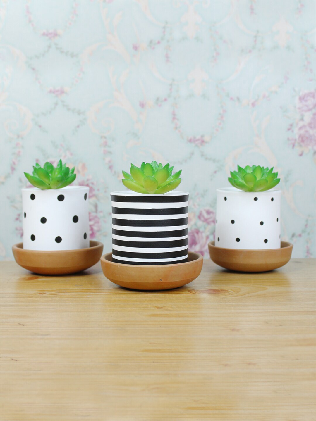Wonderland Set Of 3 Black & White Planter With Plate Price in India