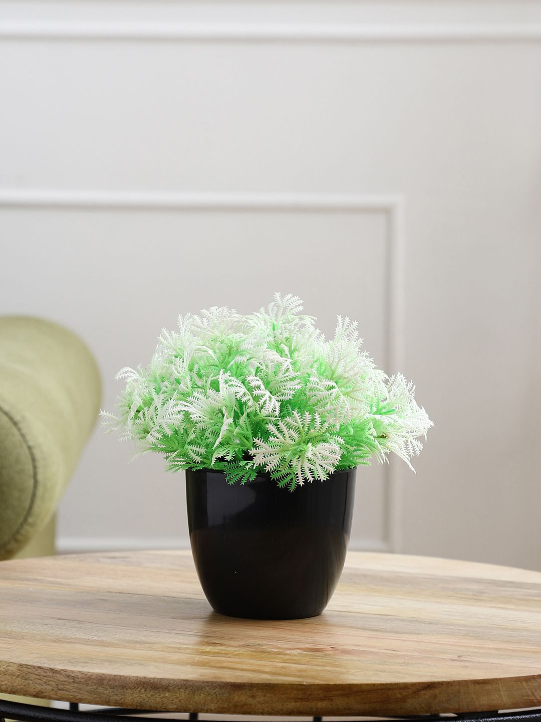 FOLIYAJ White & Green Artificial Plant With Pot Price in India