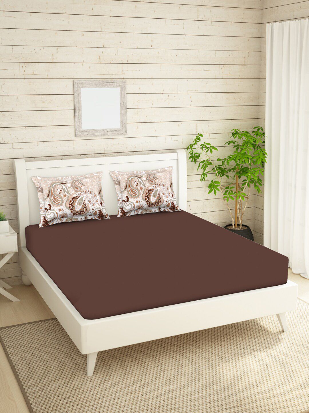 SPACES Brown & White Solid 144 TC Pure Cotton 1 King Regular Bedsheet With 2 Pillow Covers Price in India