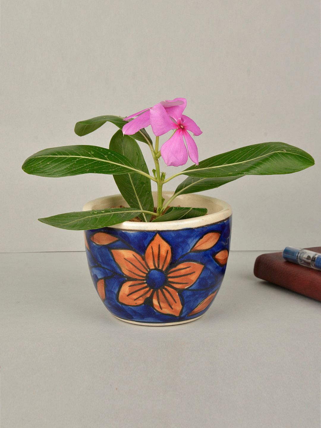 StyleMyWay Blue & Brown Hand Painted Ceramic Planter With Tray Price in India