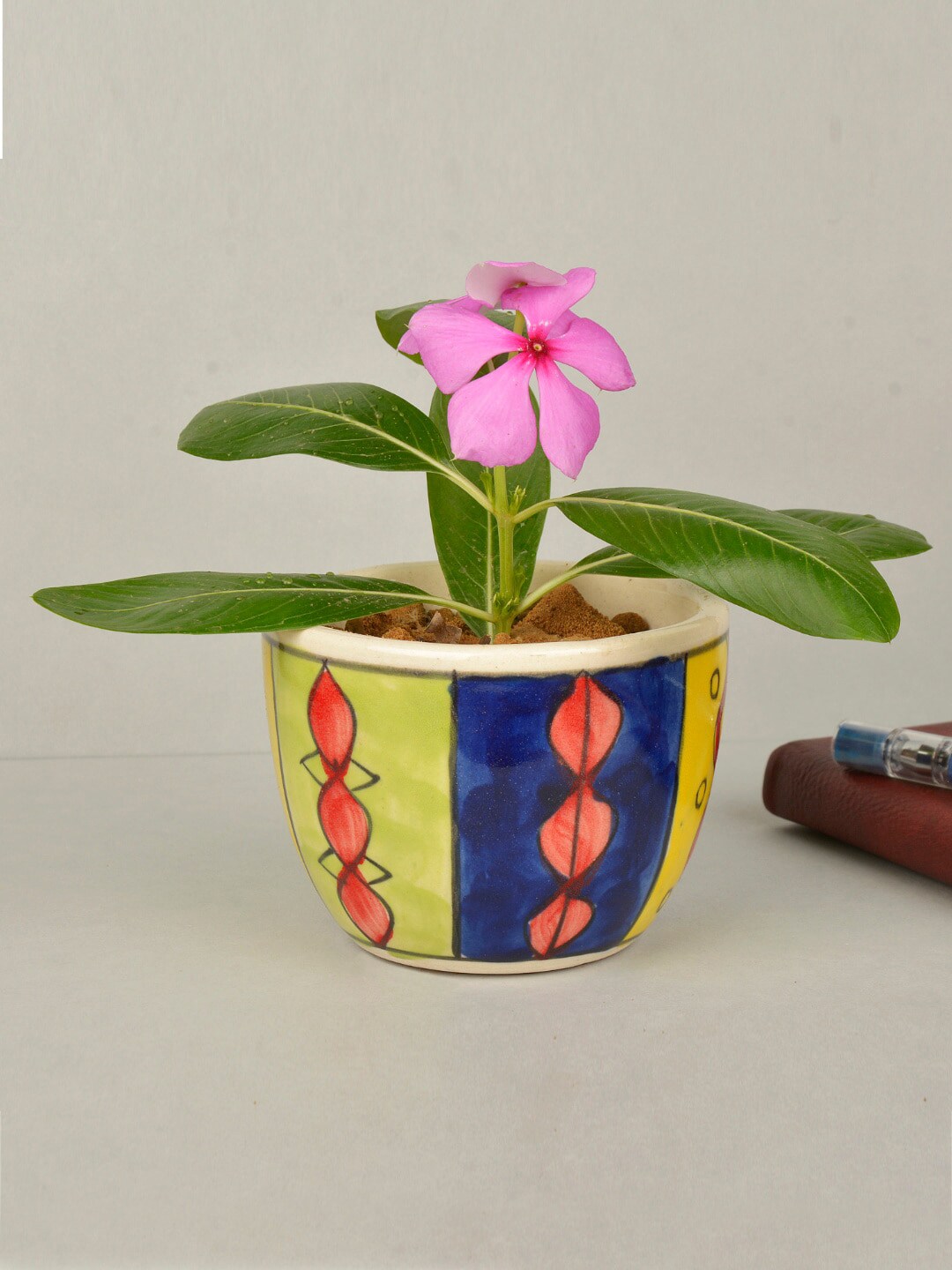 StyleMyWay Multi-Colored Hand Painted Ceramic Pot With Tray Price in India