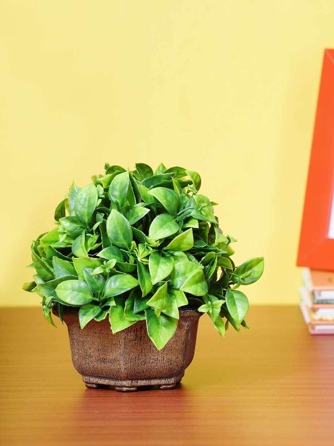 Dekorly Green & Gold-toned Decorative Bonsai Plant With Pot Price in India