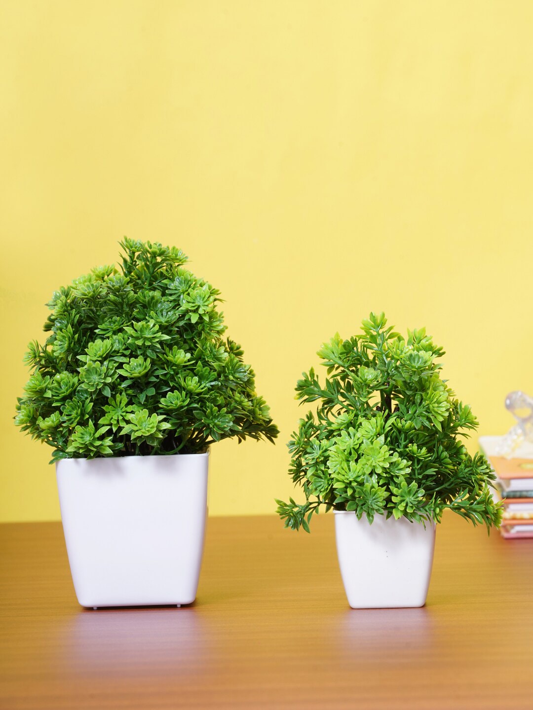 Dekorly Set Of 2 Green & White Decorative Bonsai Plant With Pot Price in India