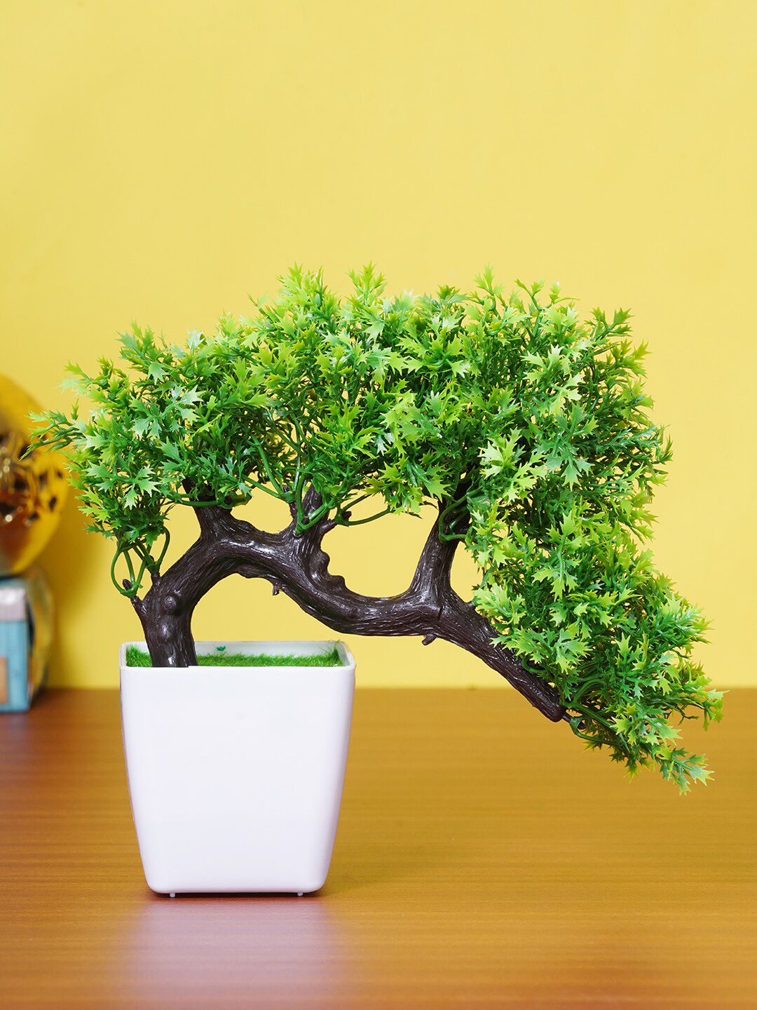 Dekorly Green & White Decorative Bonsai Plant With Pot Price in India