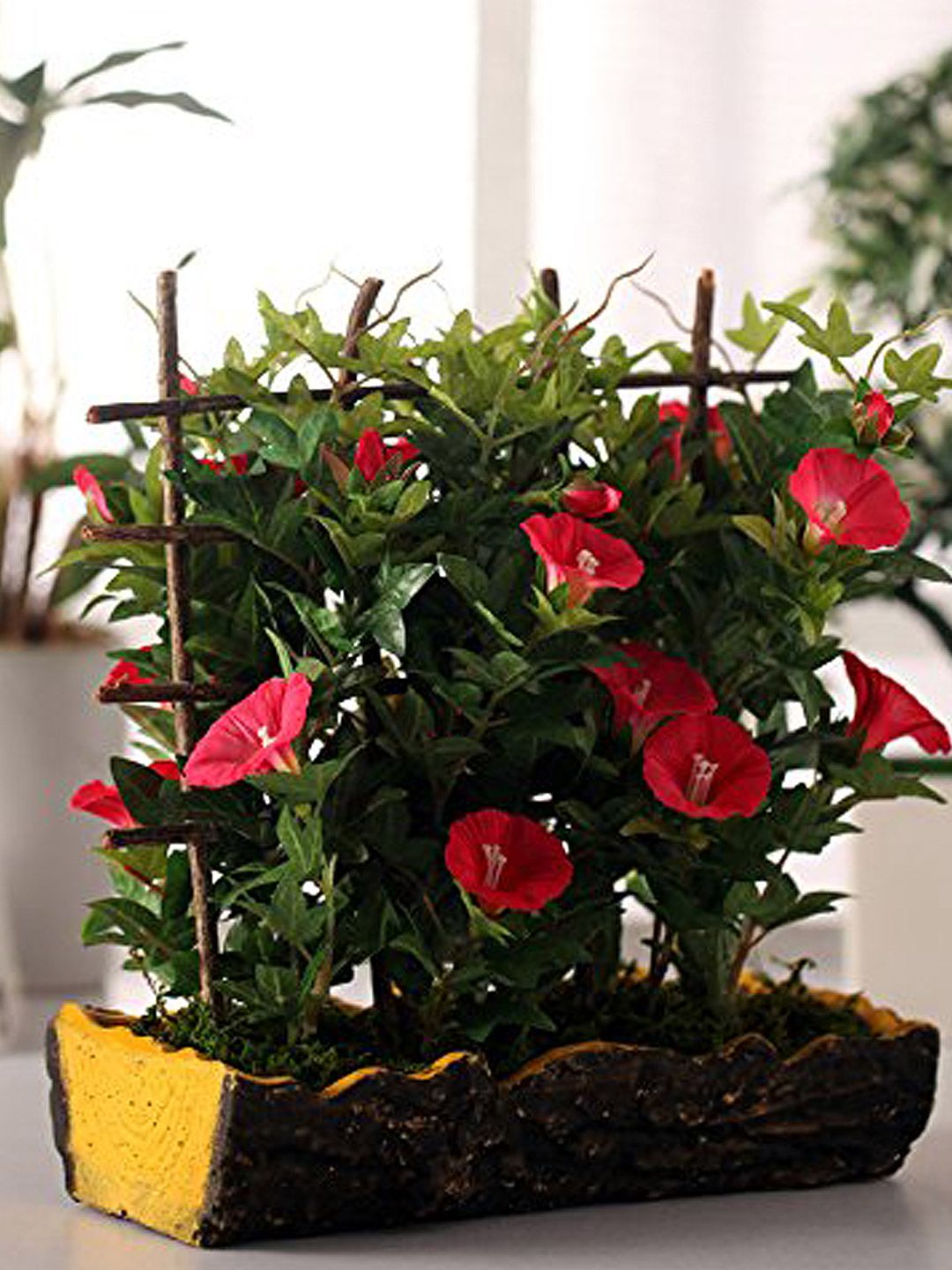 Fourwalls Brown & Green Artificial Morning Glory Plant Price in India