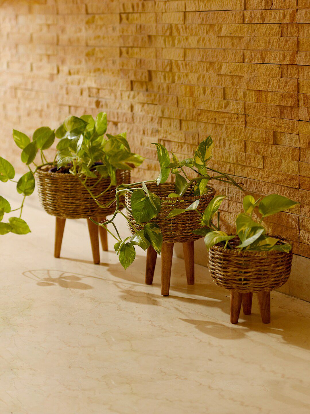 green girgit Set of 3 Brown Jute Basket Planters Price in India