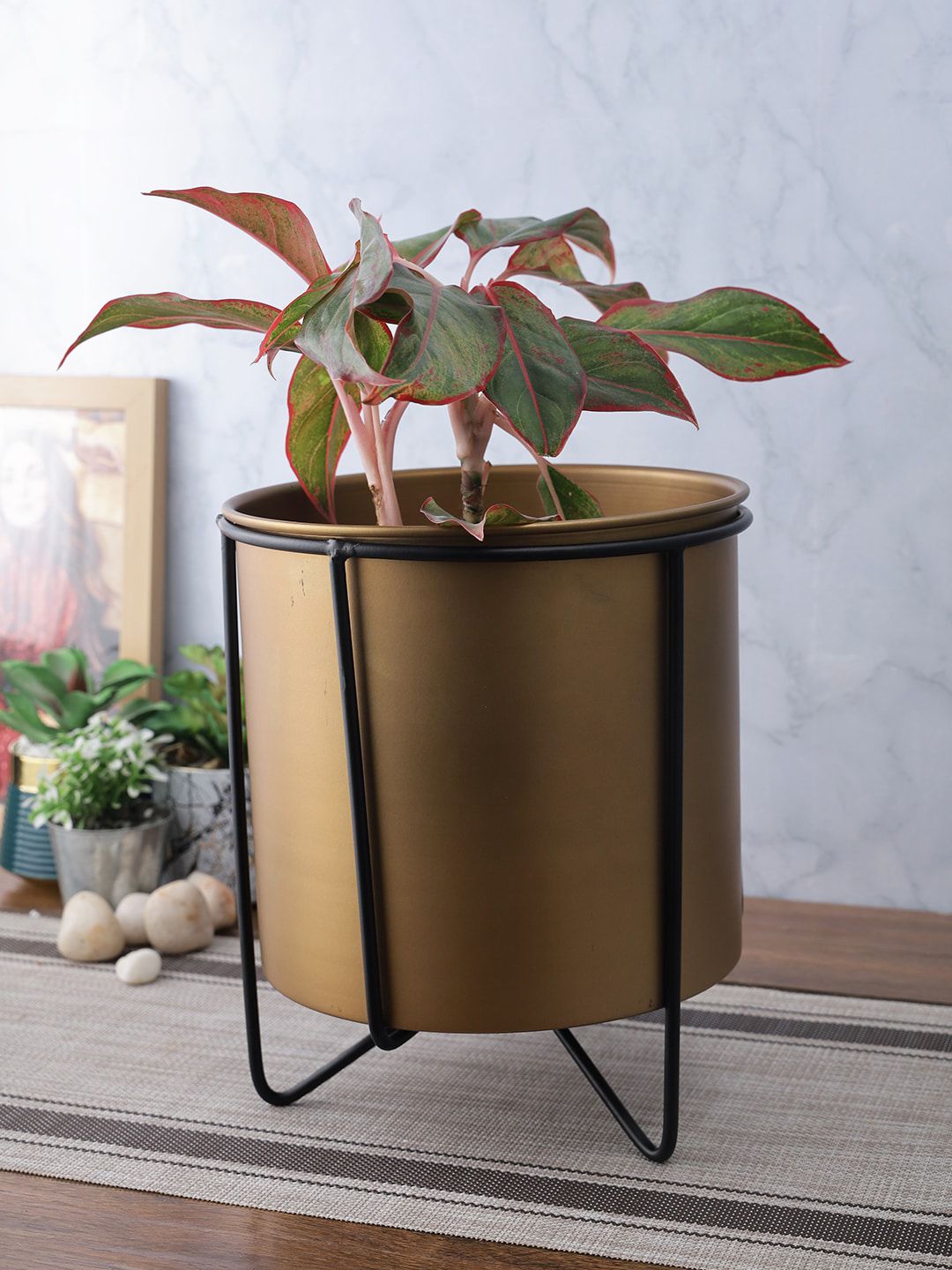 Aapno Rajasthan Gold & Black Solid Metal Planter With Stand Price in India