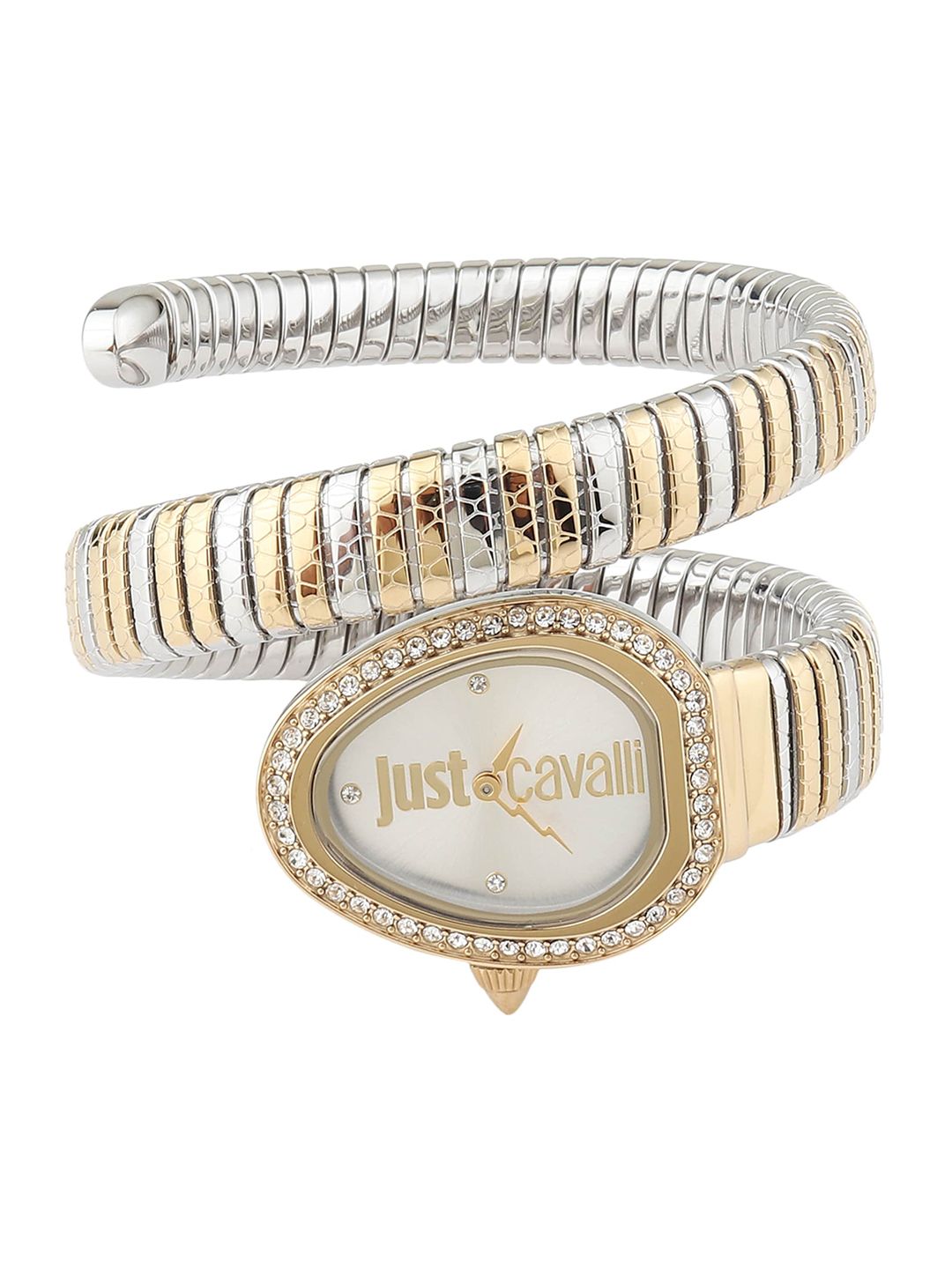 Just Cavalli Women Silver-Toned Brass Dial & Multicoloured Stainless Steel Bracelet Style Straps Analogue Watch Price in India