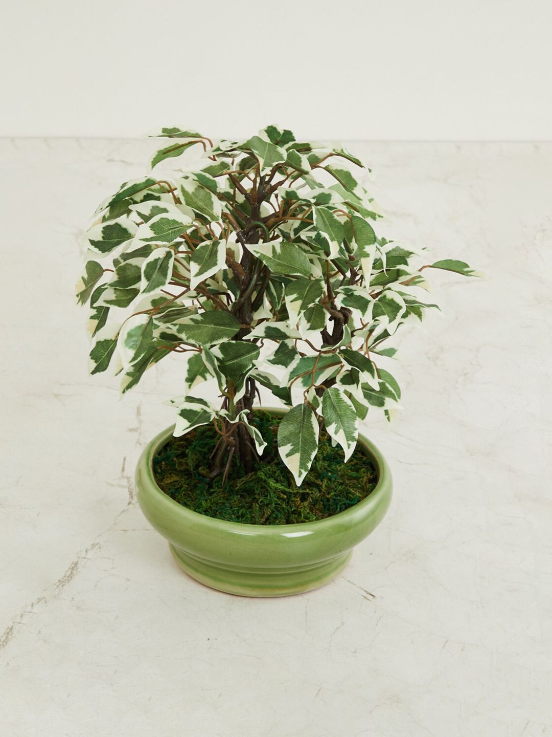 Home Centre Green Artificial Plant With Pot Price in India