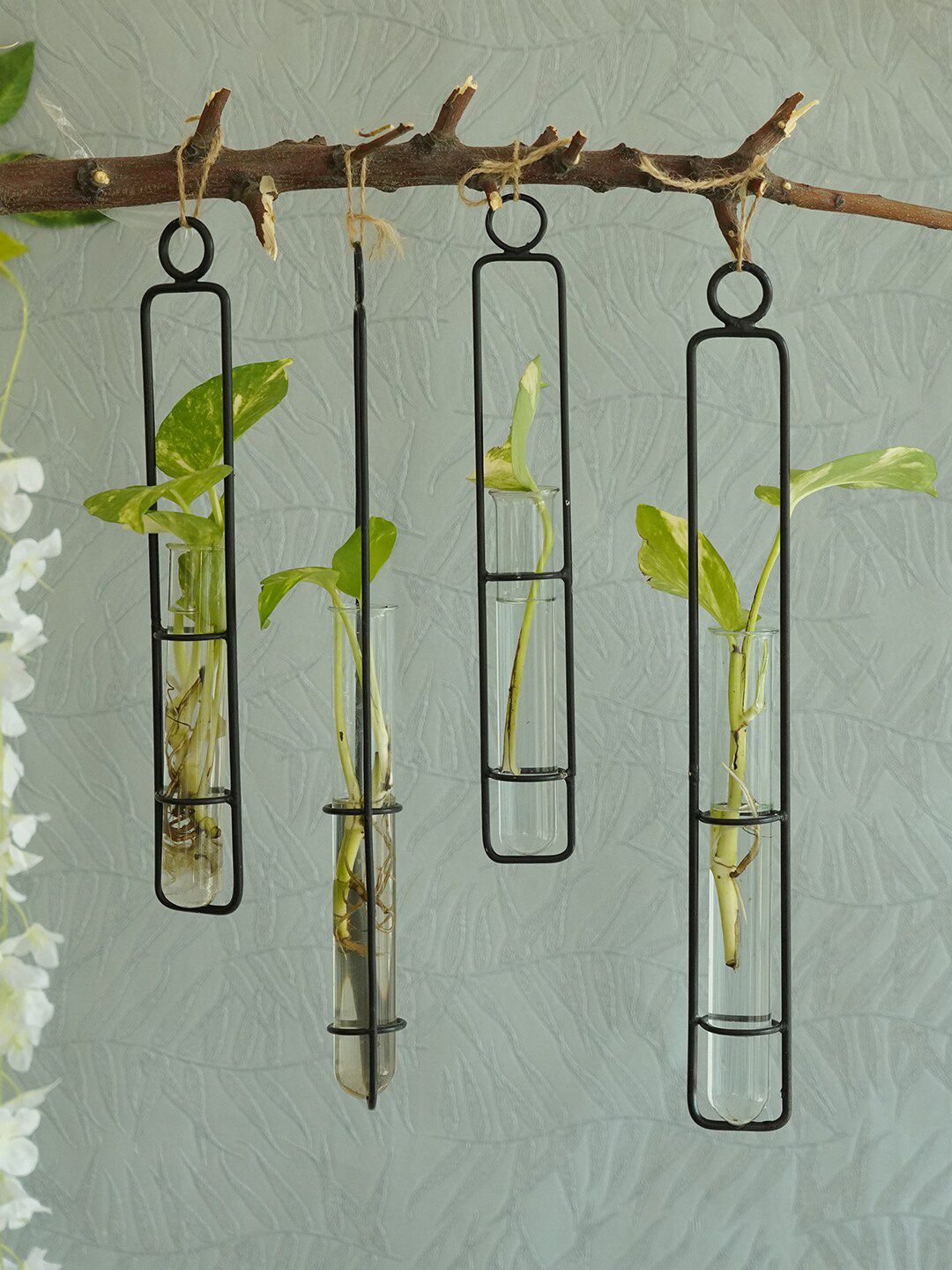 TIED RIBBONS Set Of 4 Transparent & Black Test Tube Planters Price in India