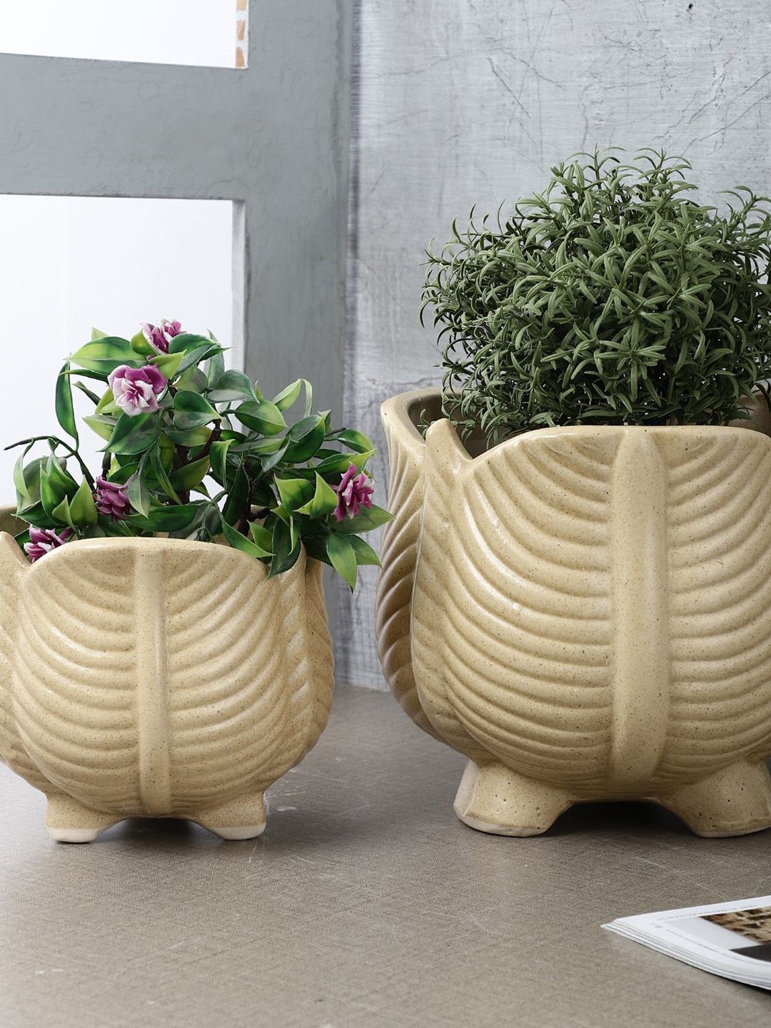 The Decor Mart Set Of 2 Off White Textured Ceramic Planters Price in India