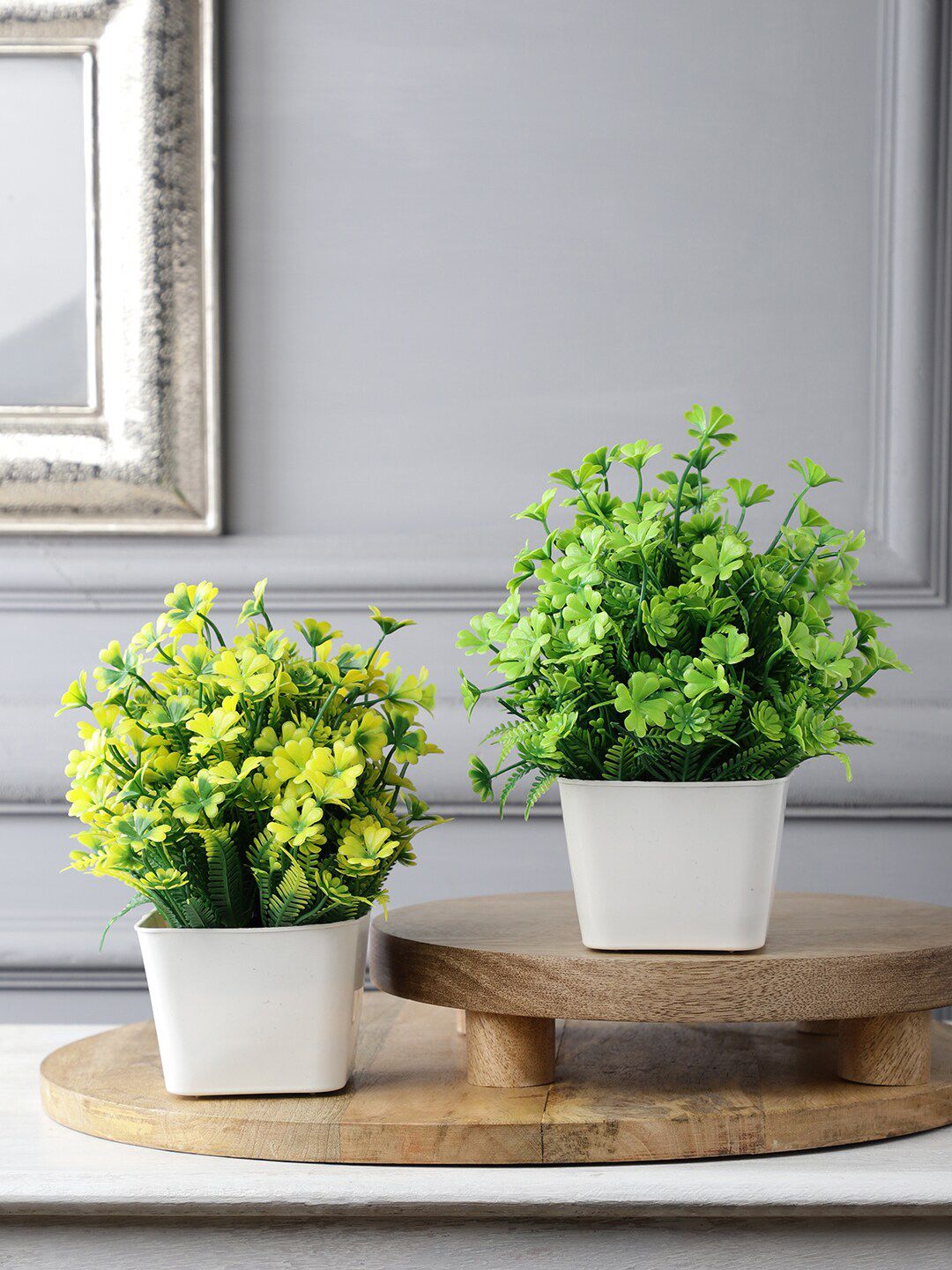 FOLIYAJ Pack of 2 Green & Yellow Artificial Flower and Plant with Pot Price in India