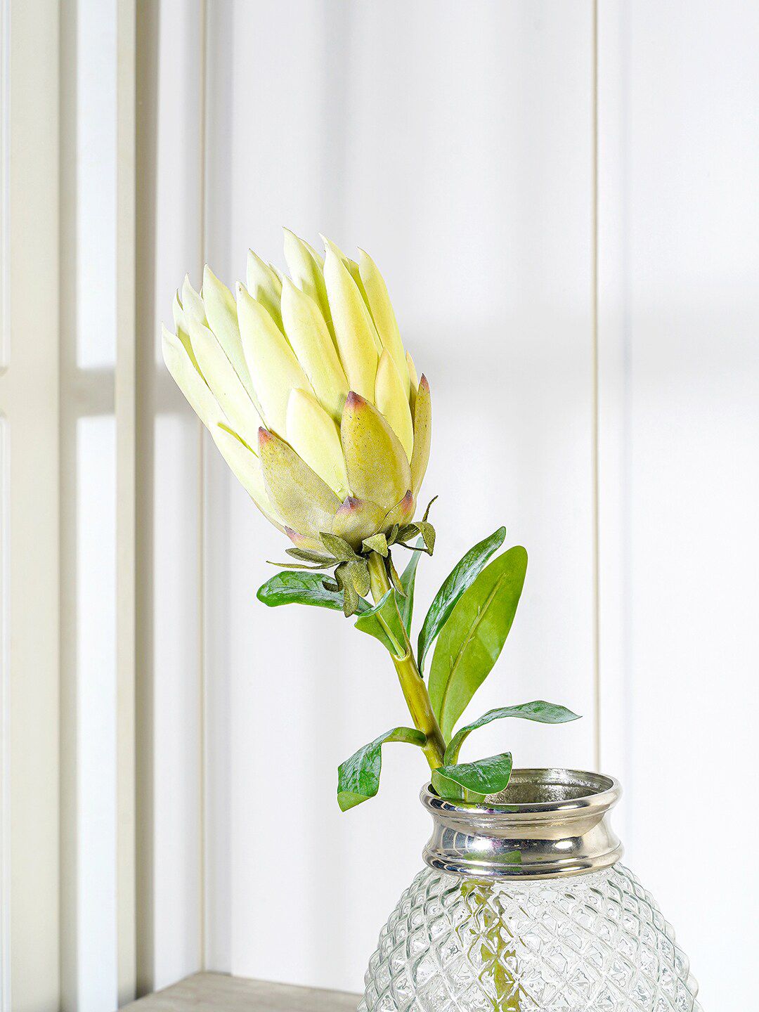 Pure Home and Living Green King Protea Stem Price in India